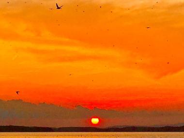 Sunset at Bird Island at Lake Ouachita State Park