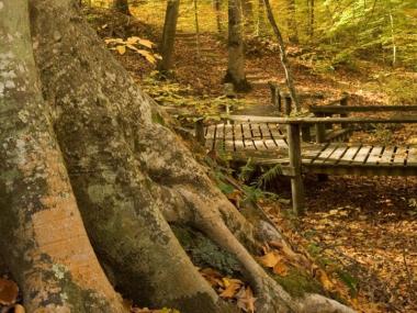 Village Creek State Park