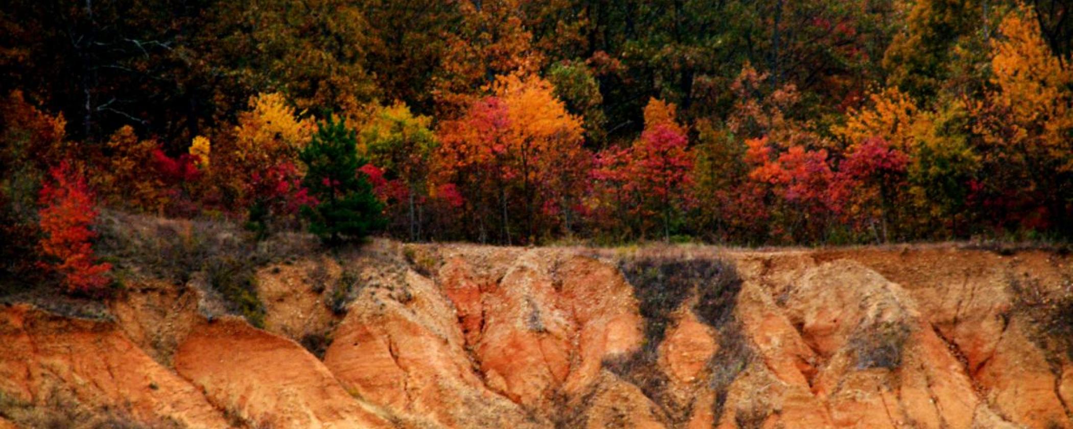 Inside Crowley's Ridge State Park Arkansas State Parks