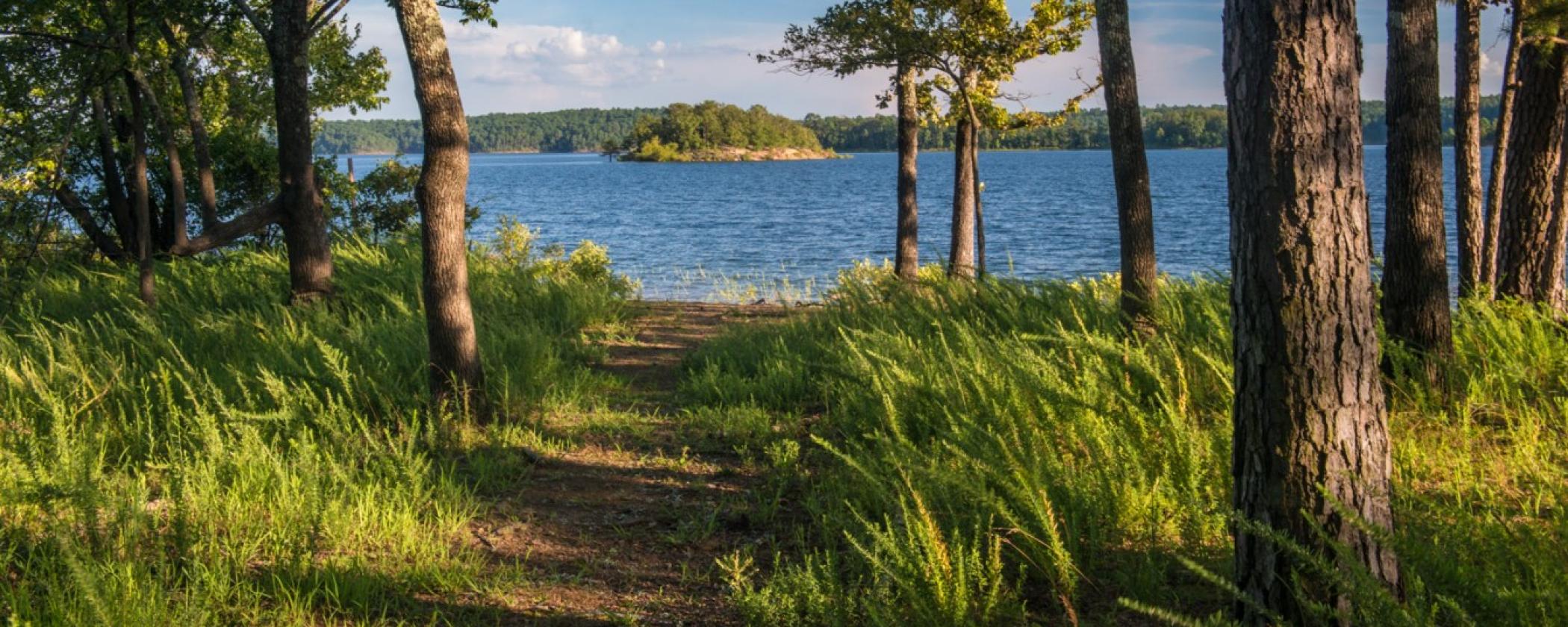 There’s an App for That Enhancing Your Exploration of DeGray Lake