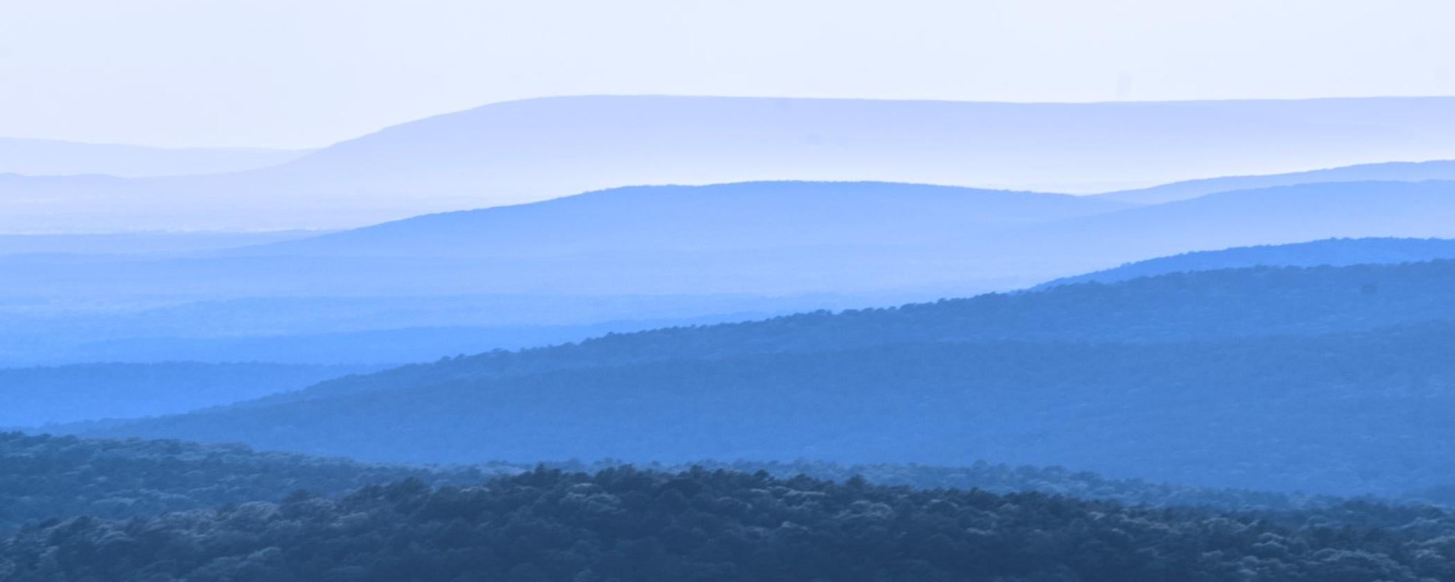 Photo Essay Wildlife of Rich Mountain Arkansas State Parks