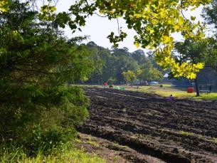 Trees at Crater of Diamonds State Park with search field in the frame