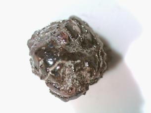 Adam Hardin's 2.38-carat brown diamond he found at Crater of Diamonds State Park