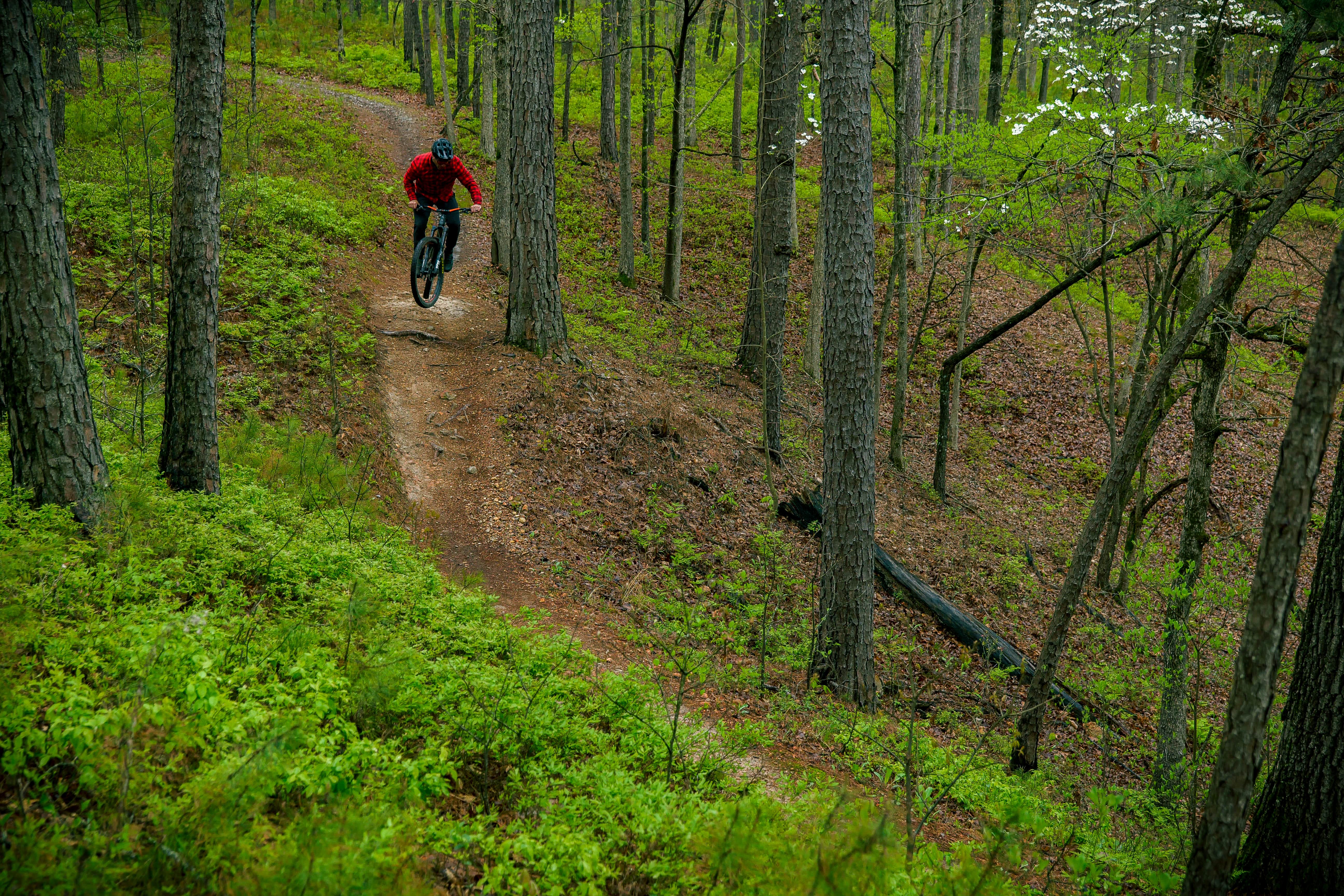 A mountain biker riding through the trees on the Monument Trails at Hobbs State Park-Conservation Area