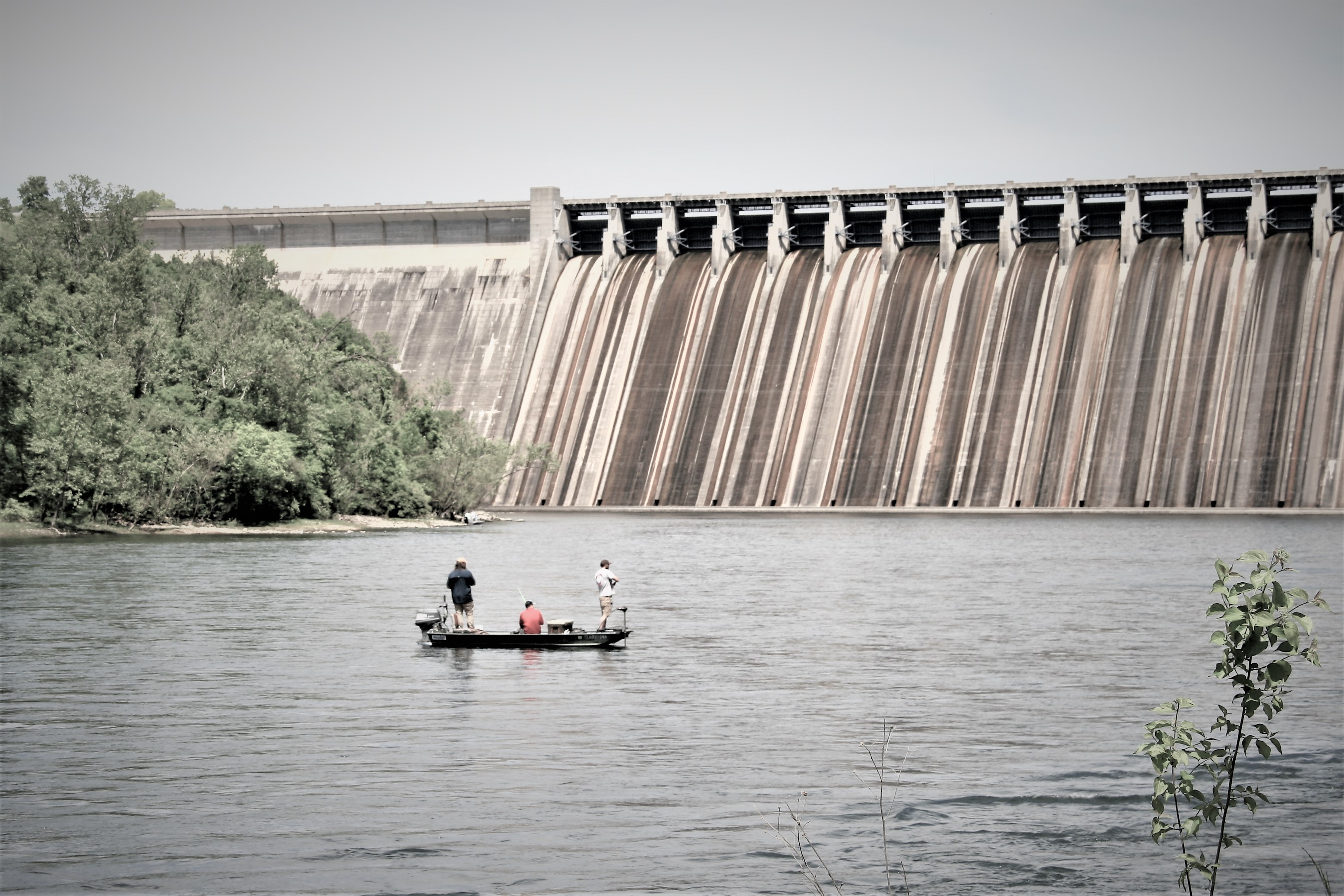 Trout Fishing On The White River in Cotter, Arkansas with Hurst Fishing