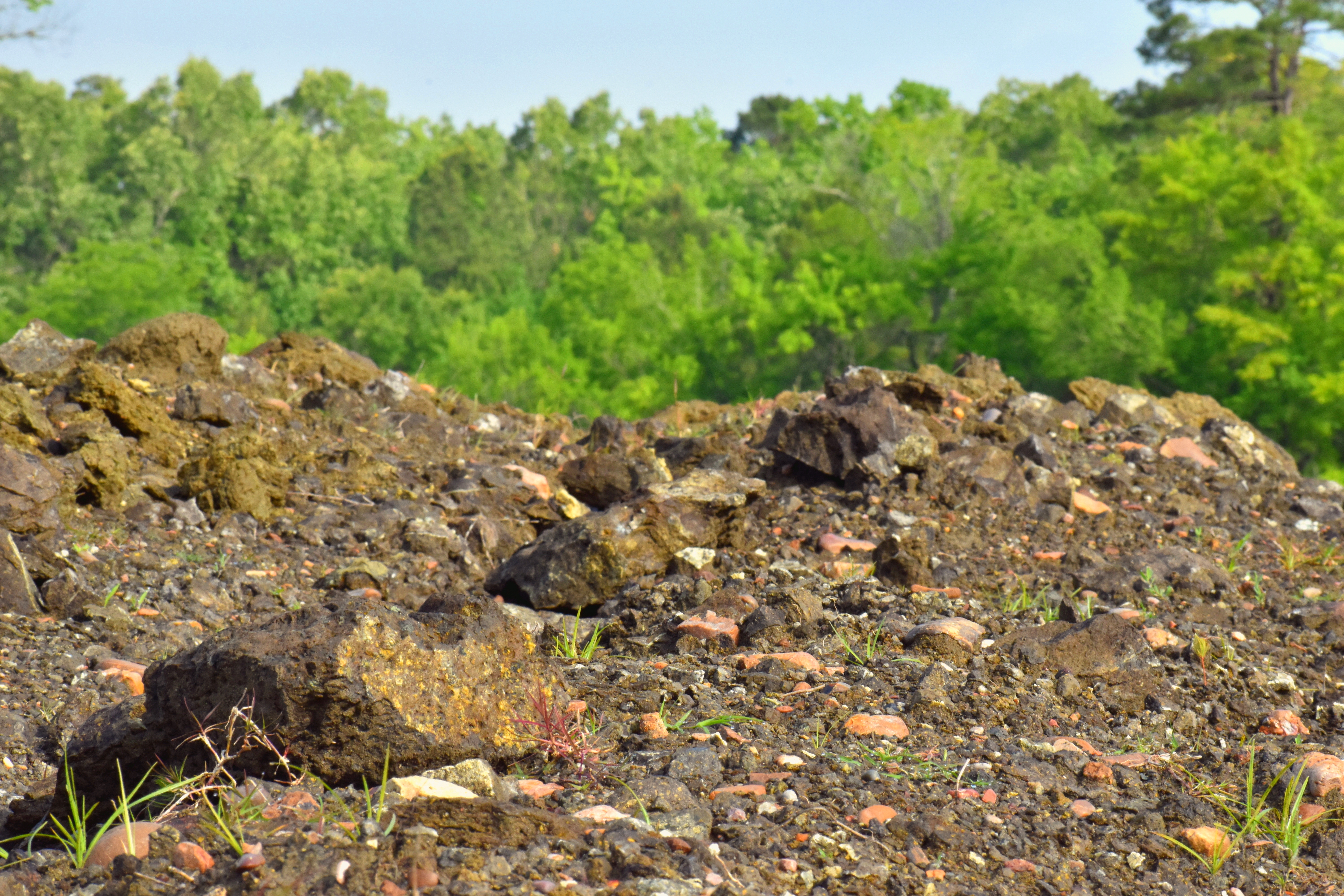Black and dark brown rocks in a plowed field