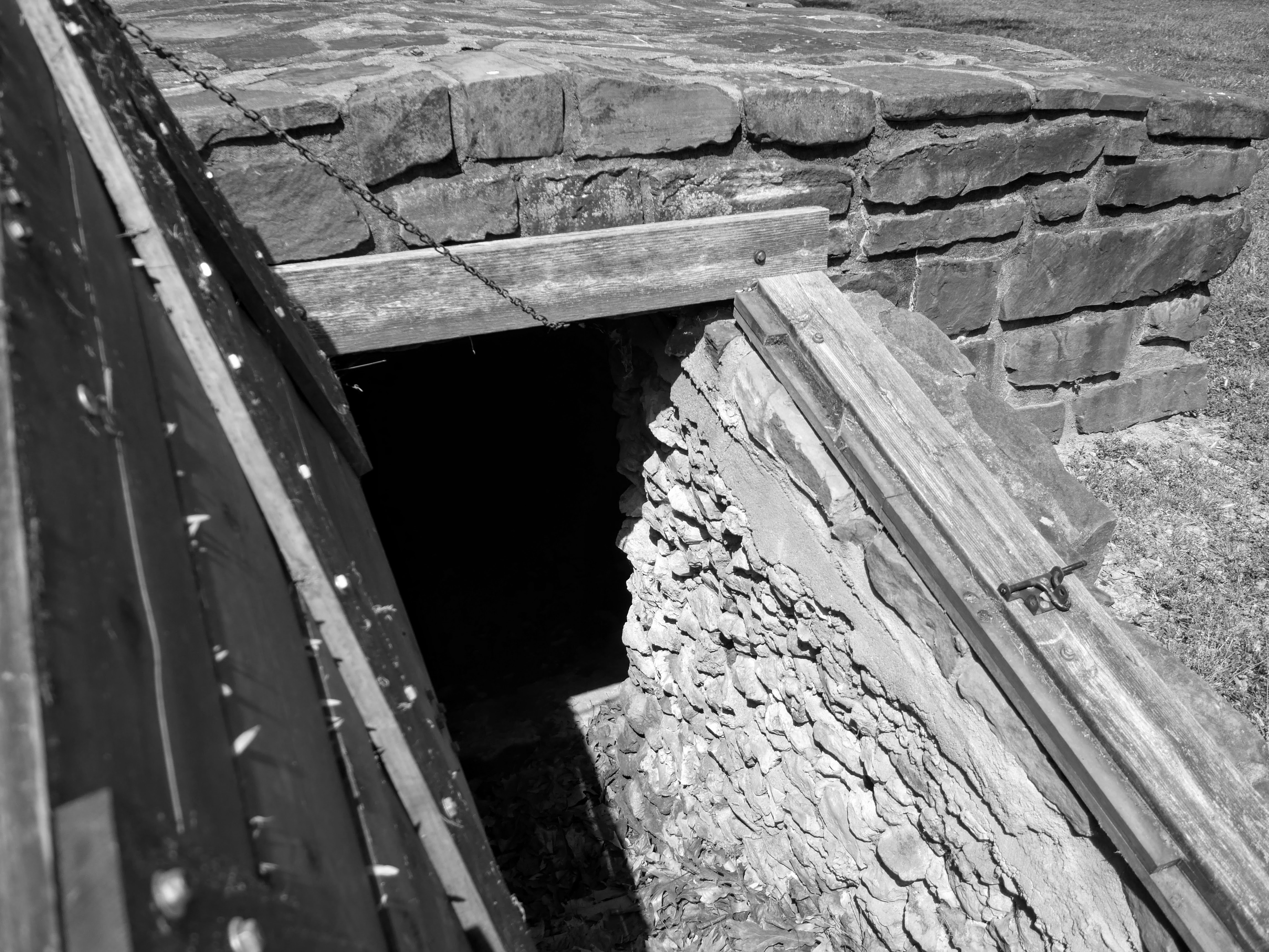 A wooden door opens to a dark stone cellar. The sunlight hits the right wall of the cellar entrance showing that many small stones are stacked to reinforce the walls.