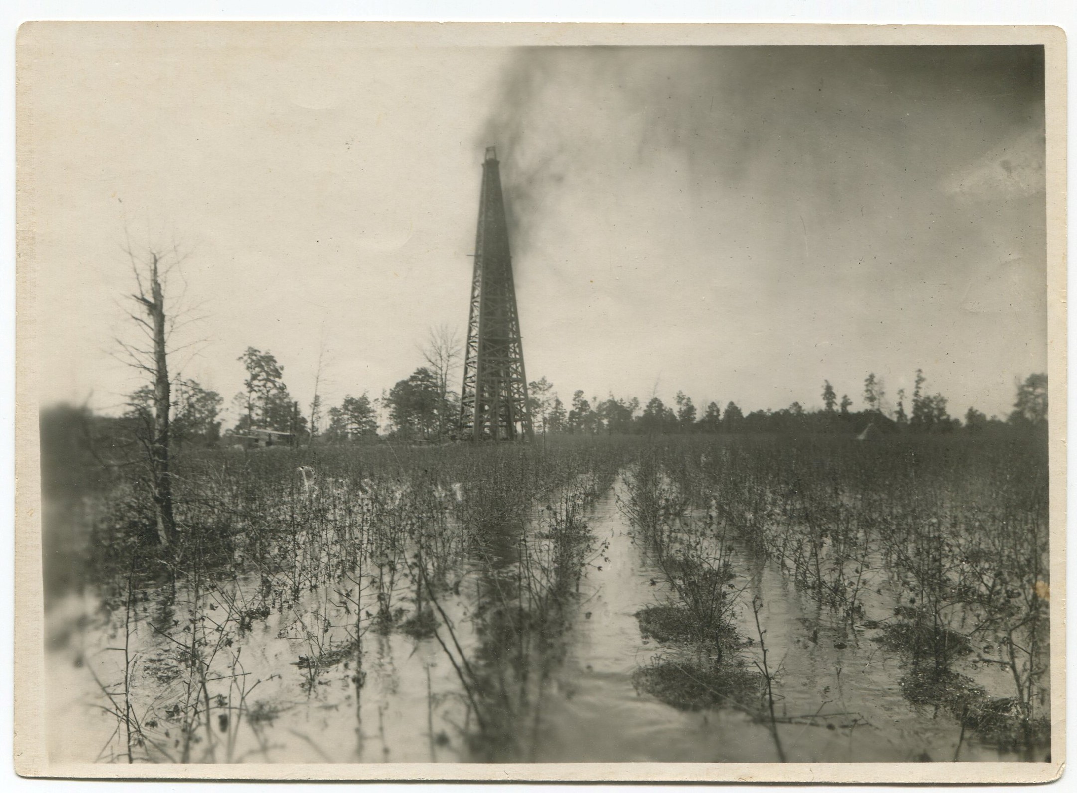 In a big, open field a wooden derrick spewing oil that covers a large flooded cotton field and a cloud of oil in the air to the right of the derrick.