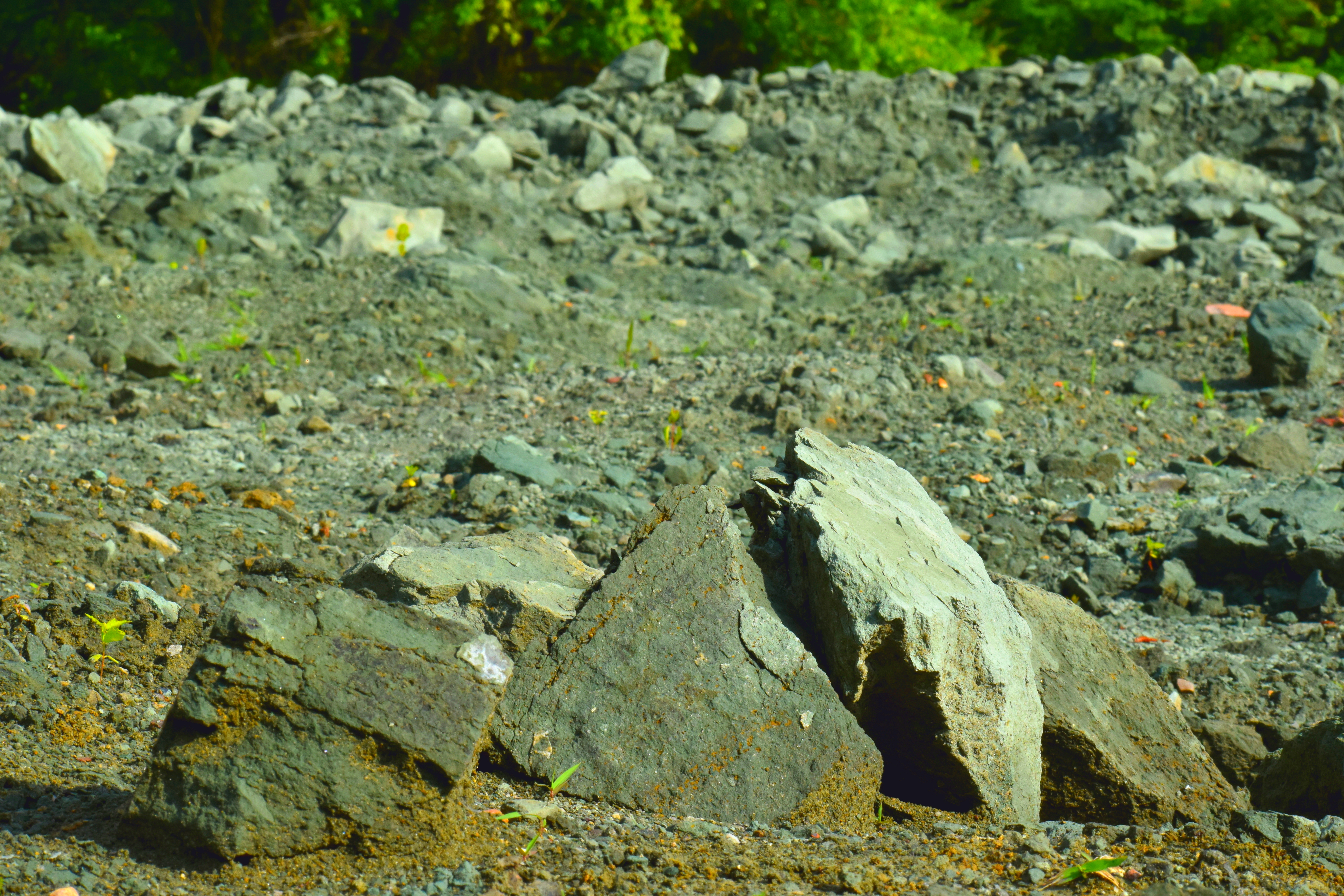 Green rocks in a plowed field. 