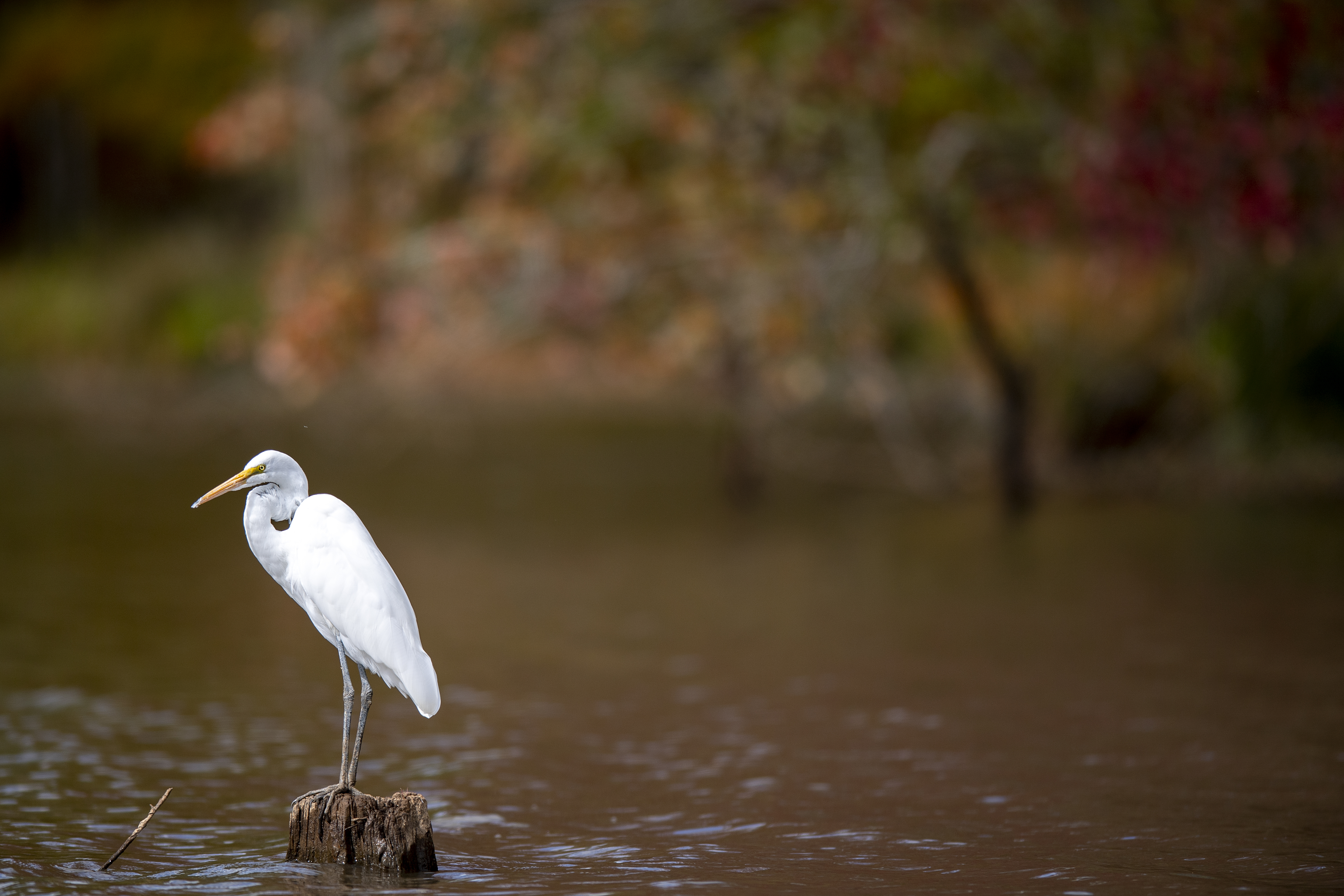 White Oak Lake State Park