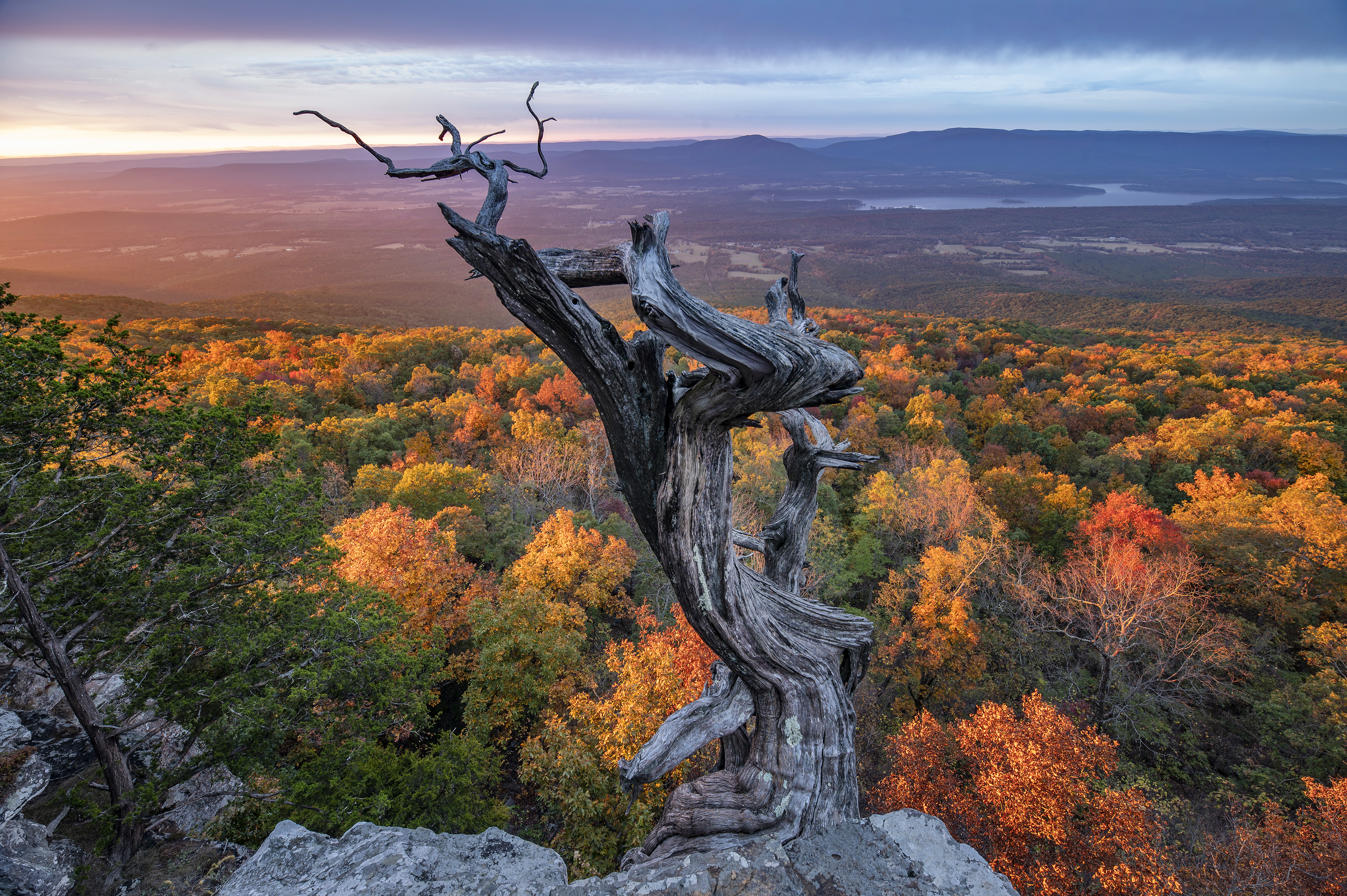 Fall foliage peaks through the valley under Mount Magazine State Park
