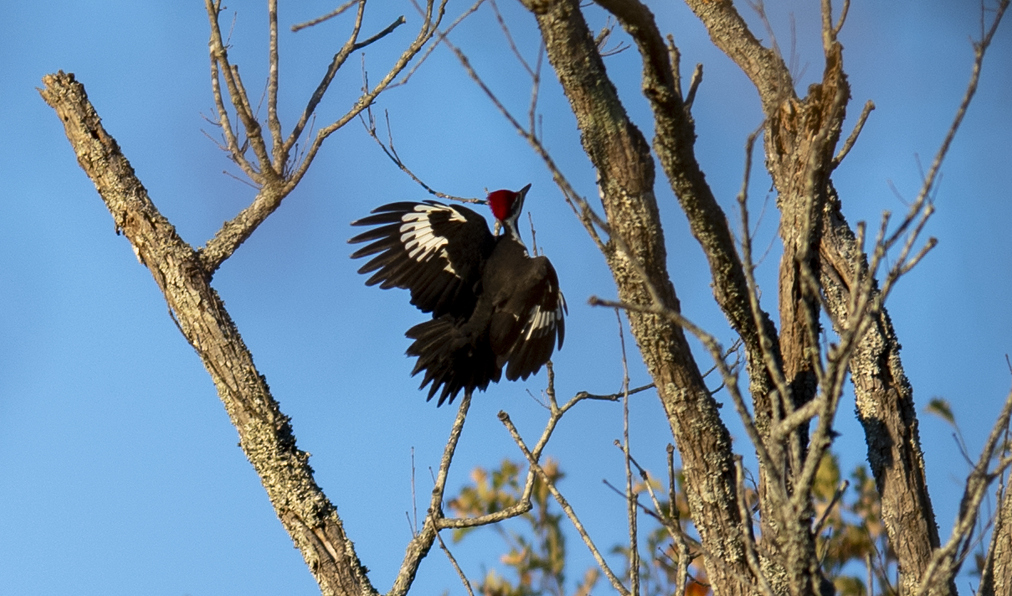 Moro Bay State Park