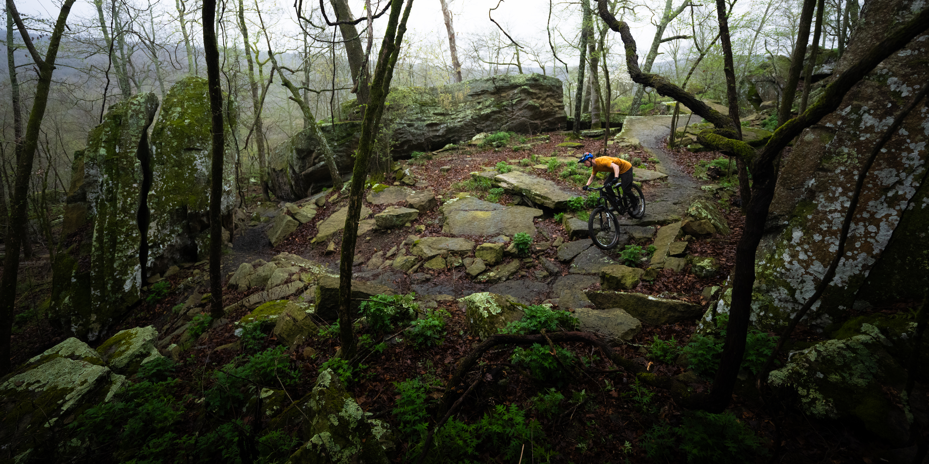 Mountain Biking at Devil's Den SP