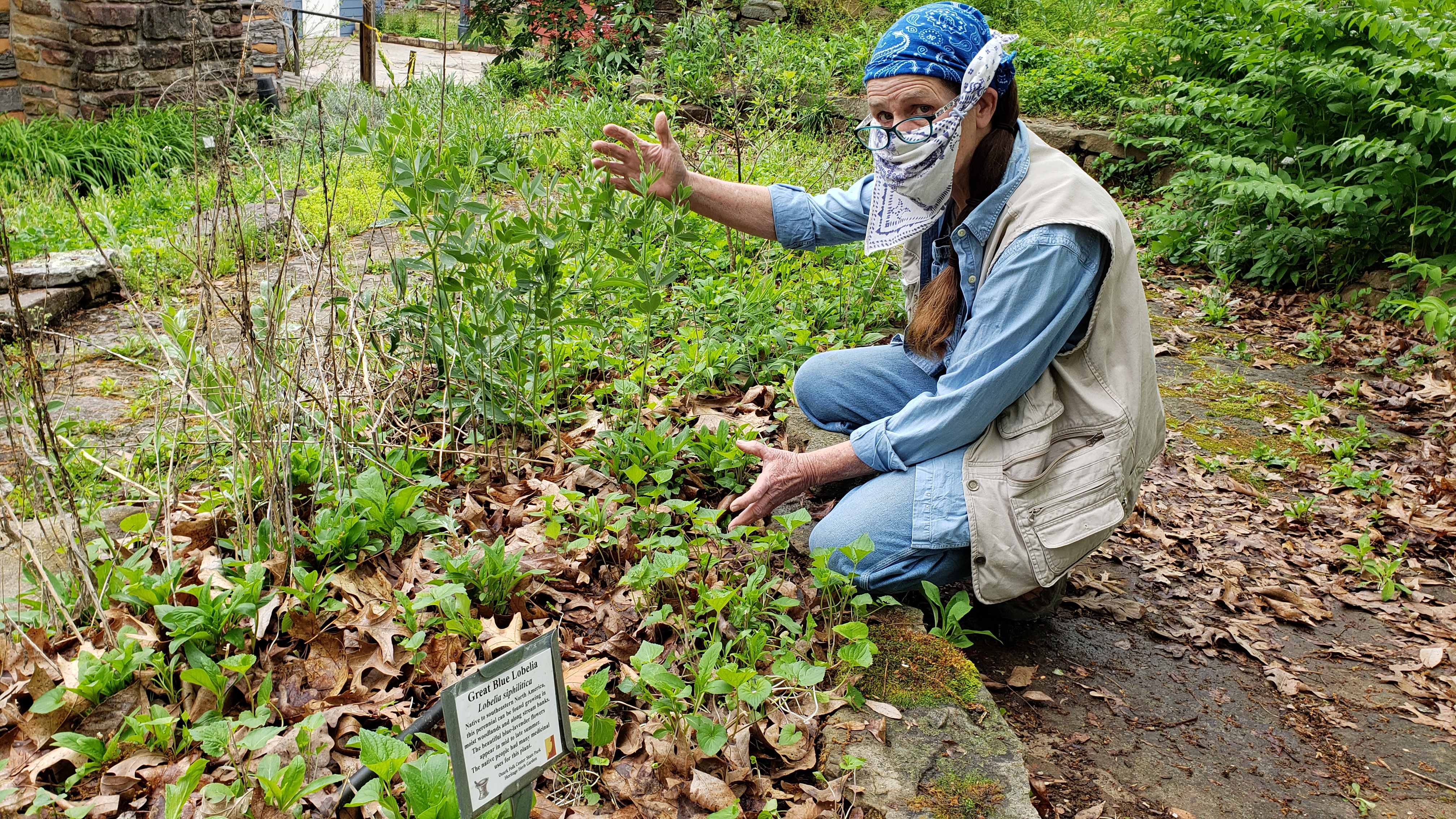Tina Marie Wilcox kneels by garden showing green plants thriving among a covering of brown leaf mulch 
