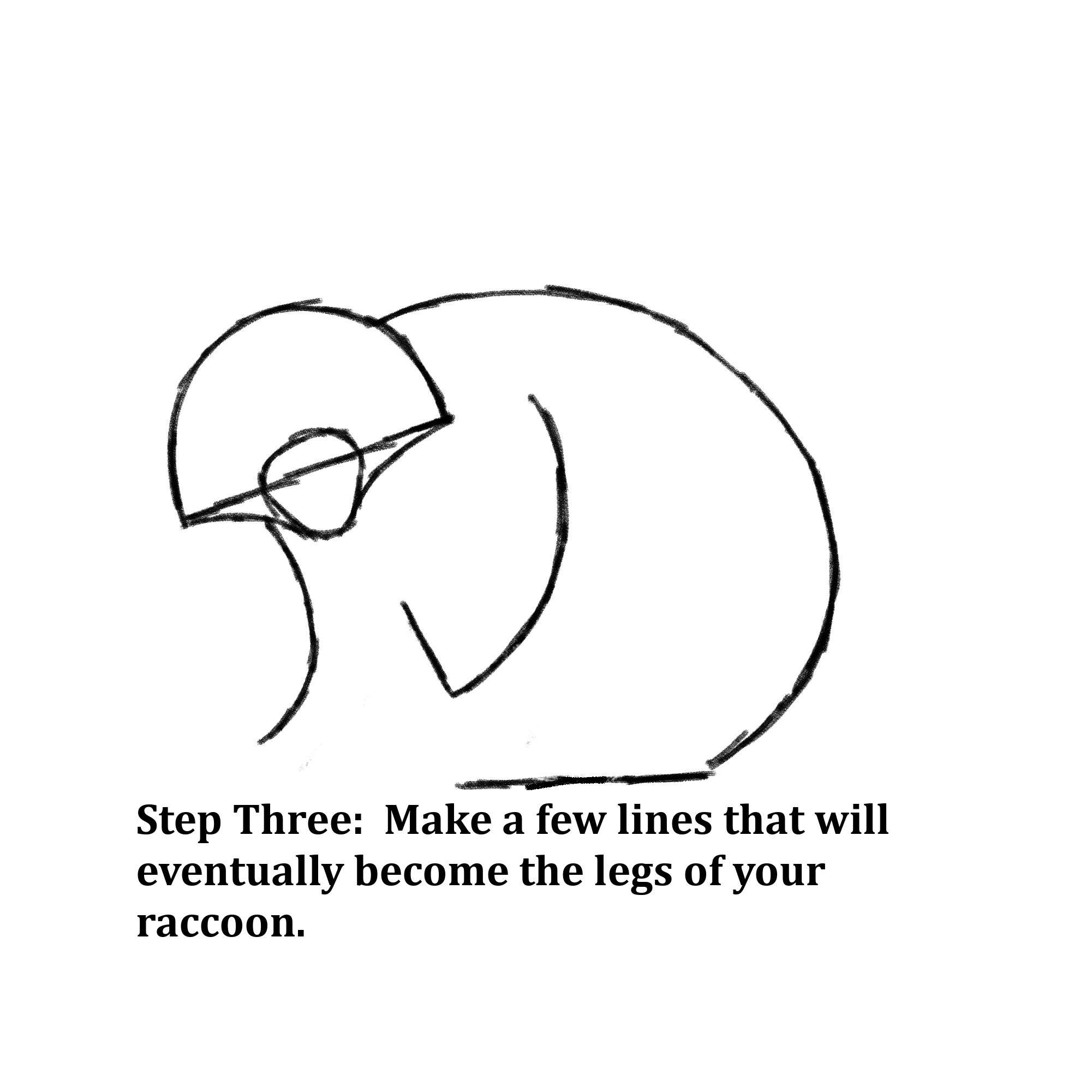 Drawn shapes with text instructions: "Step Three: Make a few lines that will eventually become the legs of your raccoon.” 