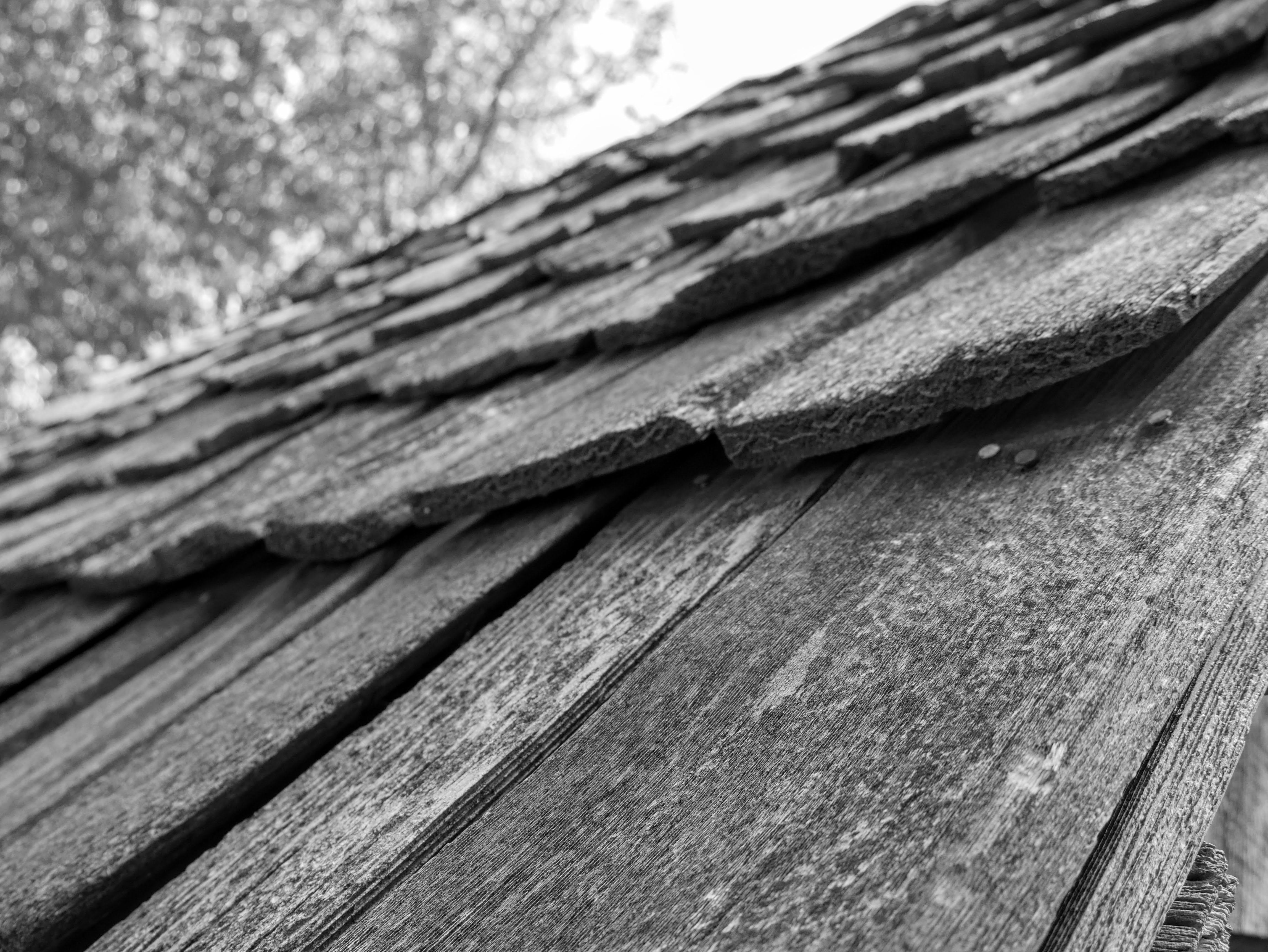 Close up view of irregularly sized, rectangular, wooden shingles in the foreground. A tree is out of focus in the background.