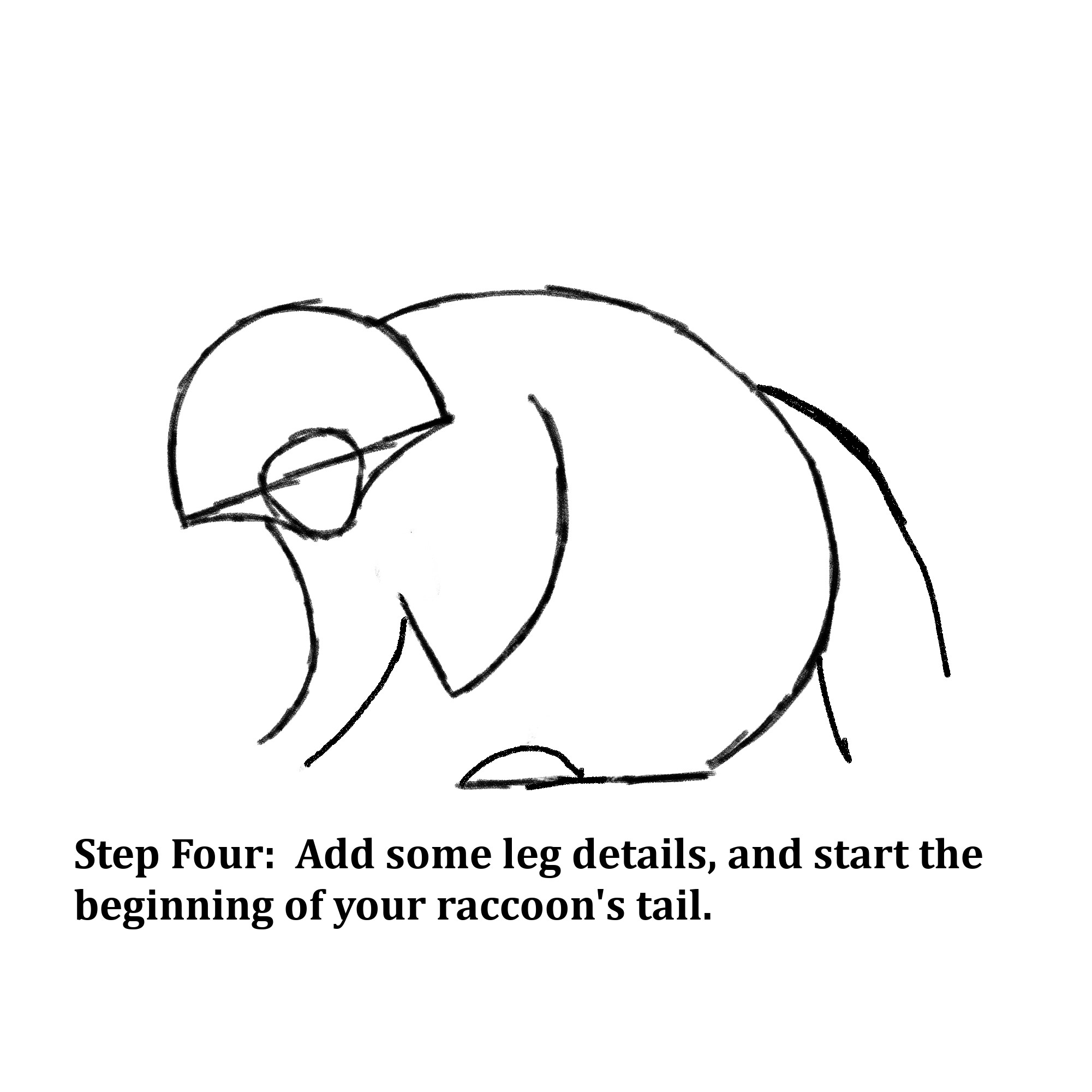 Drawn shapes with text instructions: "Step Four: Add some leg details, and start the beginning of your raccoon’s tail.” 