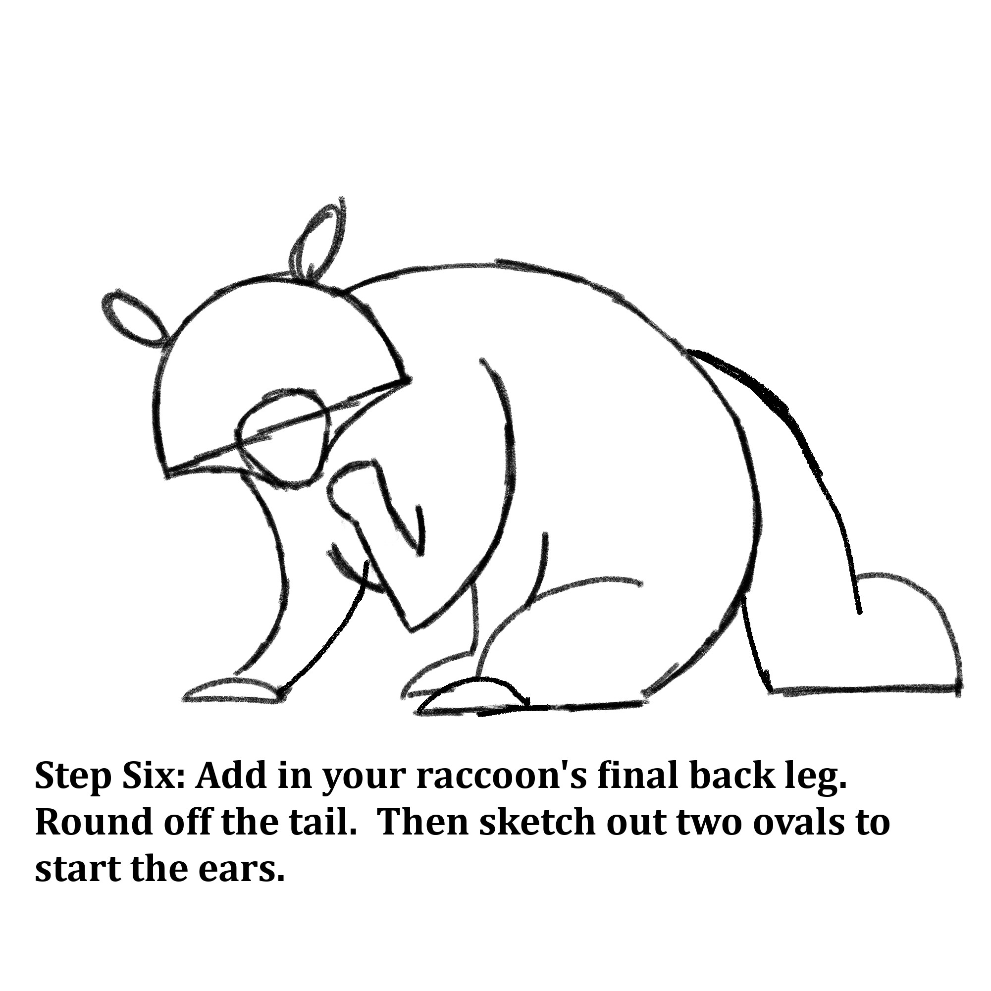 Drawn shapes with text instructions: “Step Six: Add in your raccoon’s final back leg. Round off the tail. Then sketch out two ovals to start the ears.” 