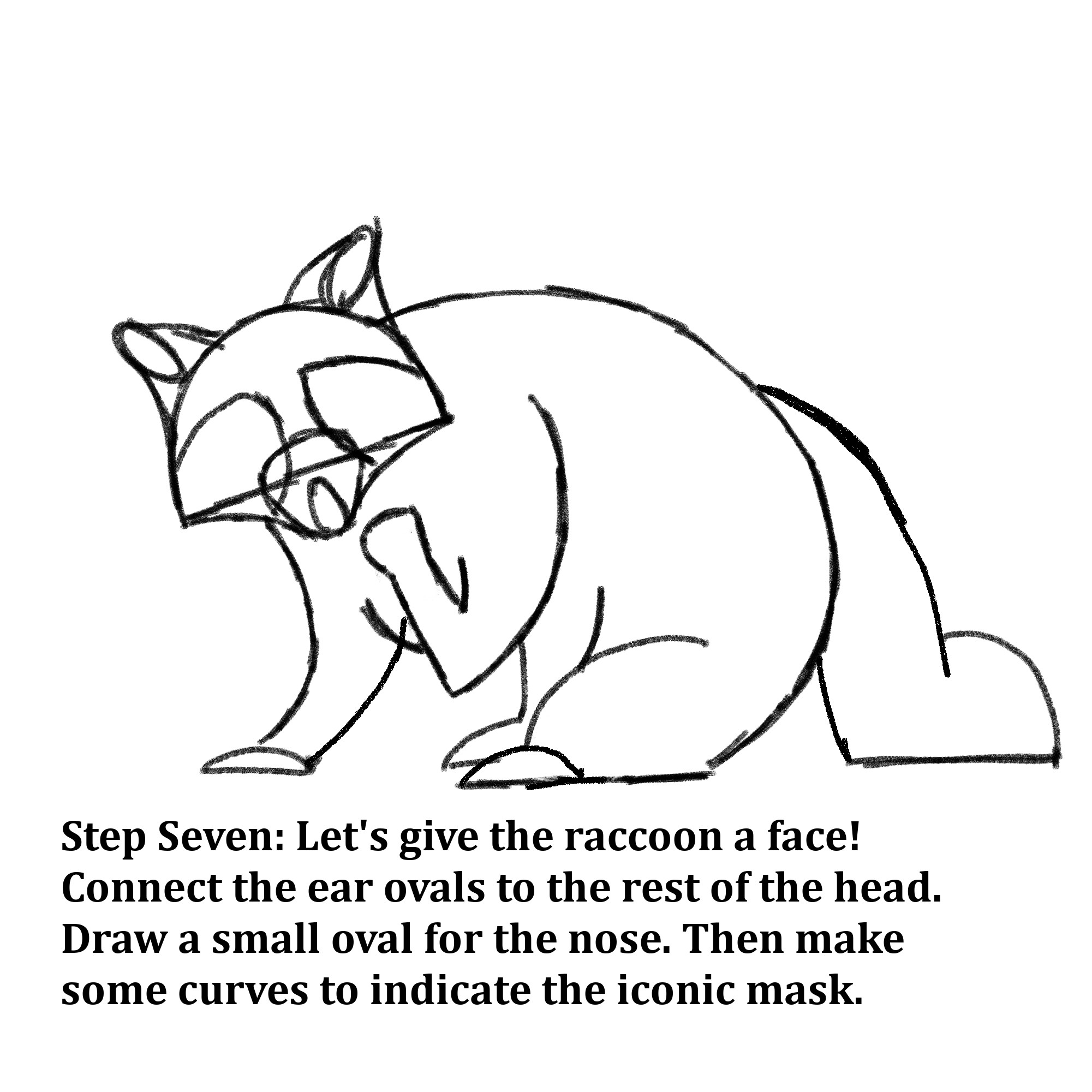 Drawn shapes with text instructions: “Step Seven: Let’s give our raccoon a face! Connect the ear ovals to the rest of the head and draw a small oval for the nose. Then make some curves to indicate the iconic mask.” 