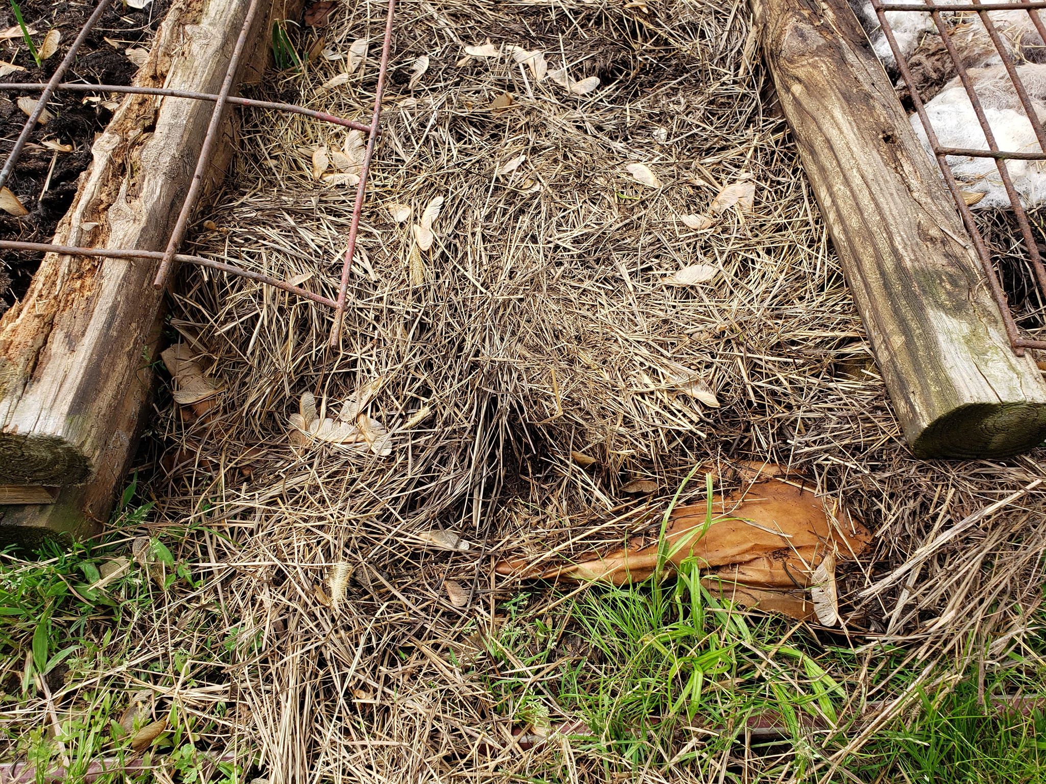 Cardboard under a layer of waste hay  