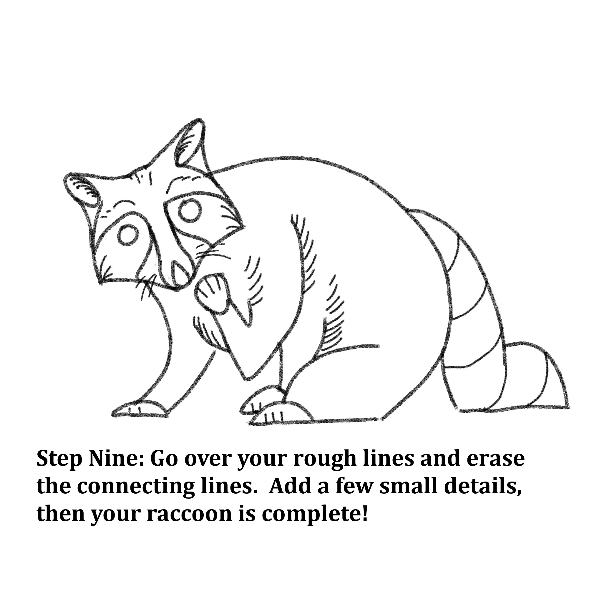 Drawn shapes with text instructions: “Step Nine: Go over your rough lines and erase the connecting lines. Add a few small details, then your raccoon is complete!” 