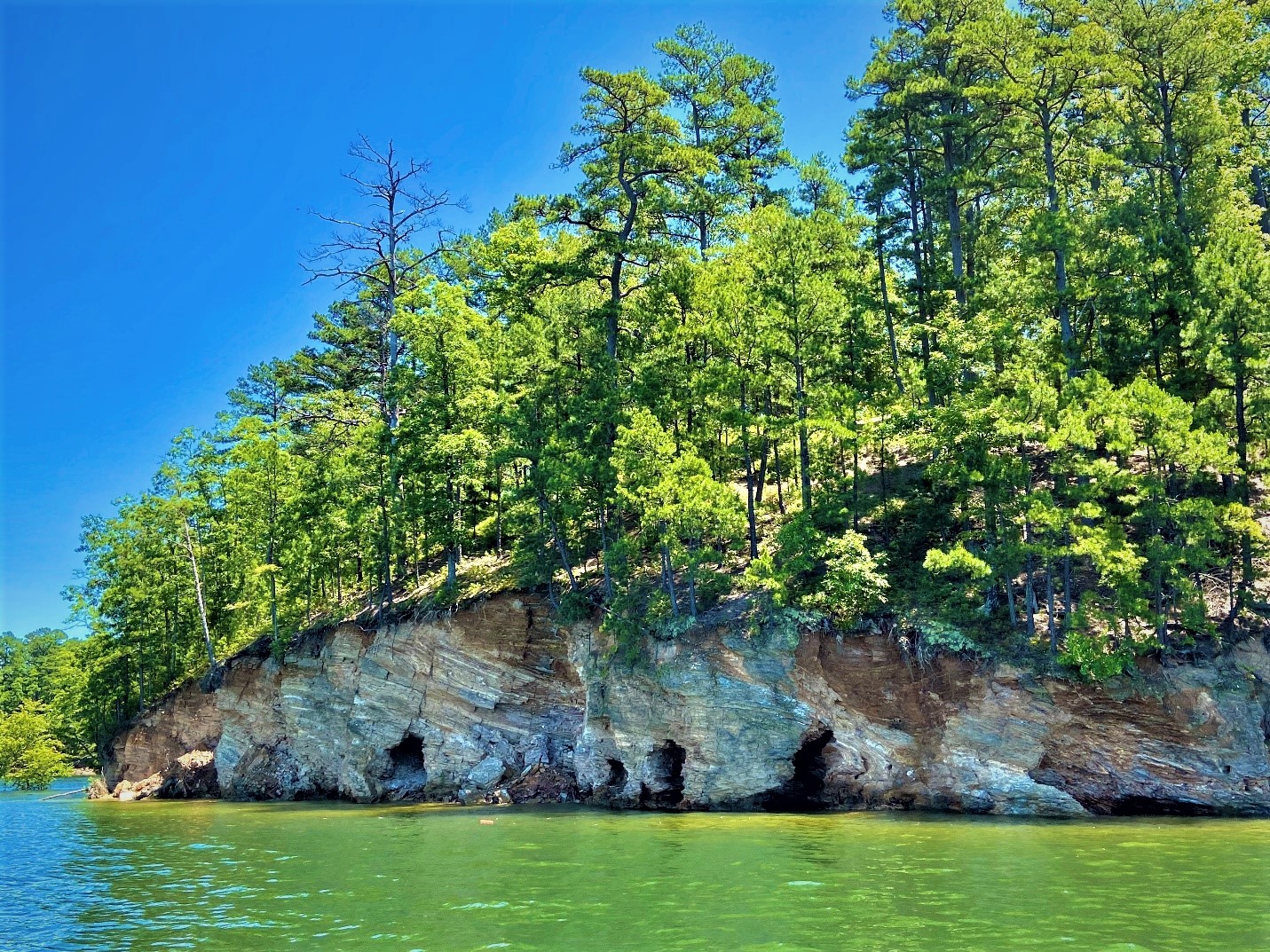 An island covered in tall green trees sits in blue-green lake water. Layers of tan rock containing small caves sit on the island’s edge. 