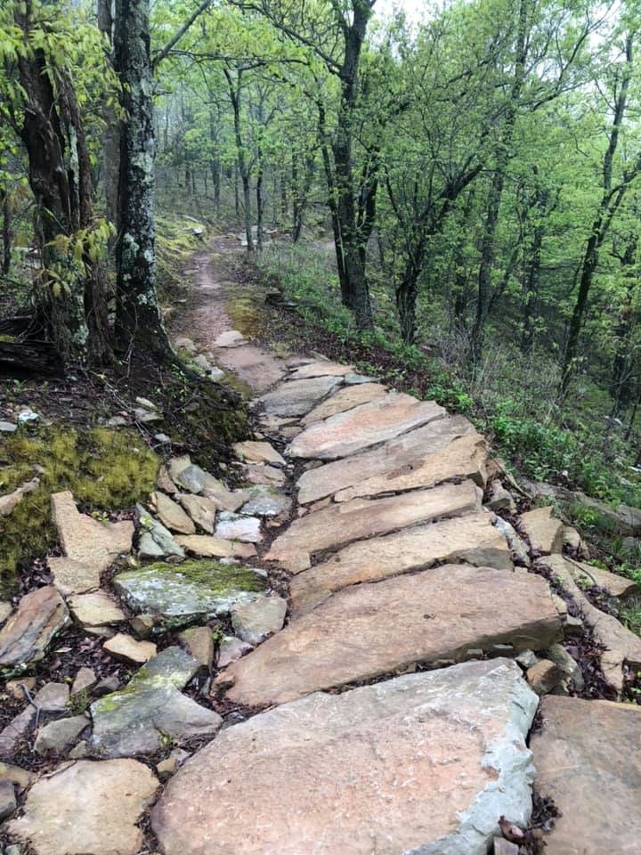 Scenic view of a stone path curving away from viewer and disappearing in the distance, surrounded by lush green forest canopy.