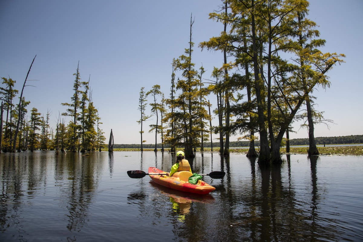 Kayaking at Cane Creek State Park