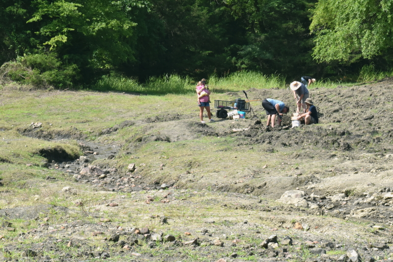 Crater of Diamonds Search Area with family searching for diamonds