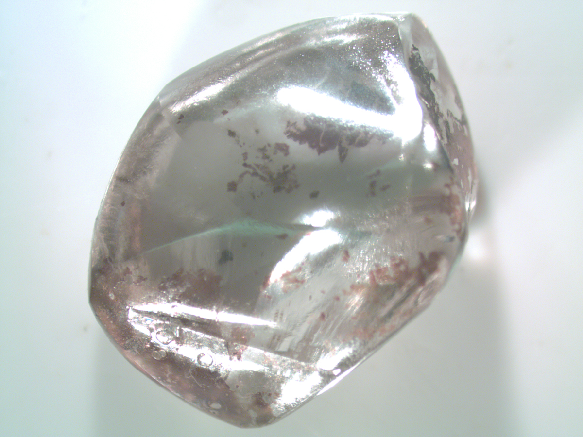 Woman finds 2.63-carat white diamond at Crater of Diamonds State Park in Arkansas