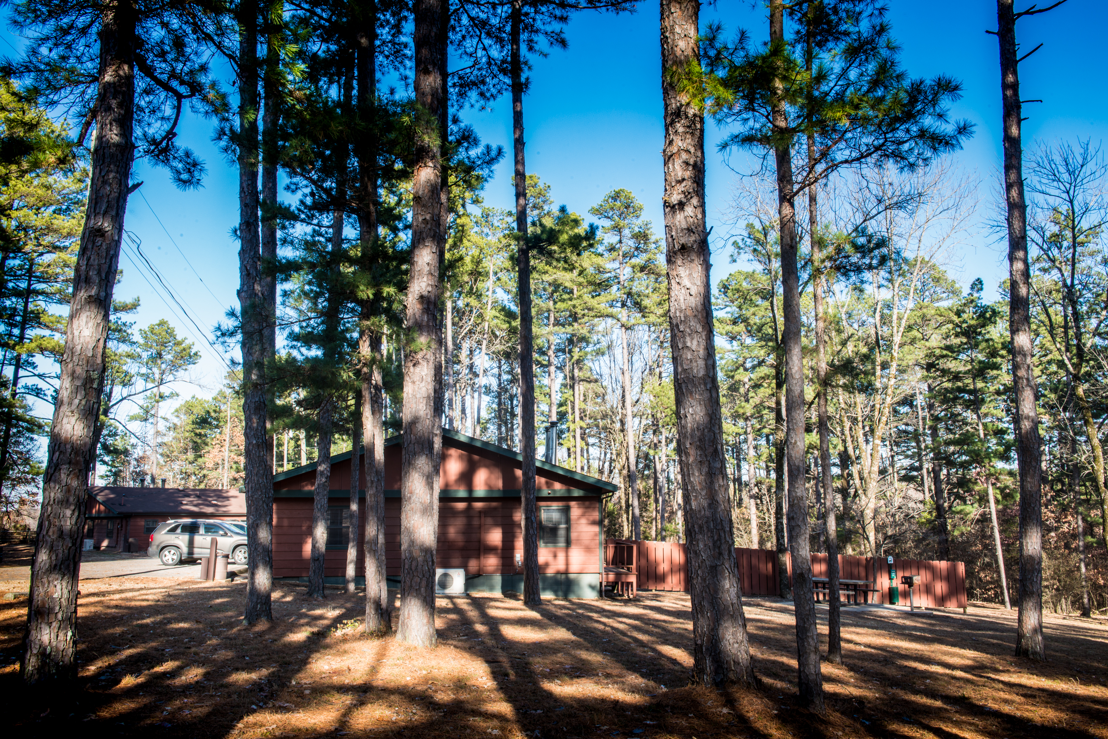 Cabins in a wooded area of Crowley's Ridge State Park