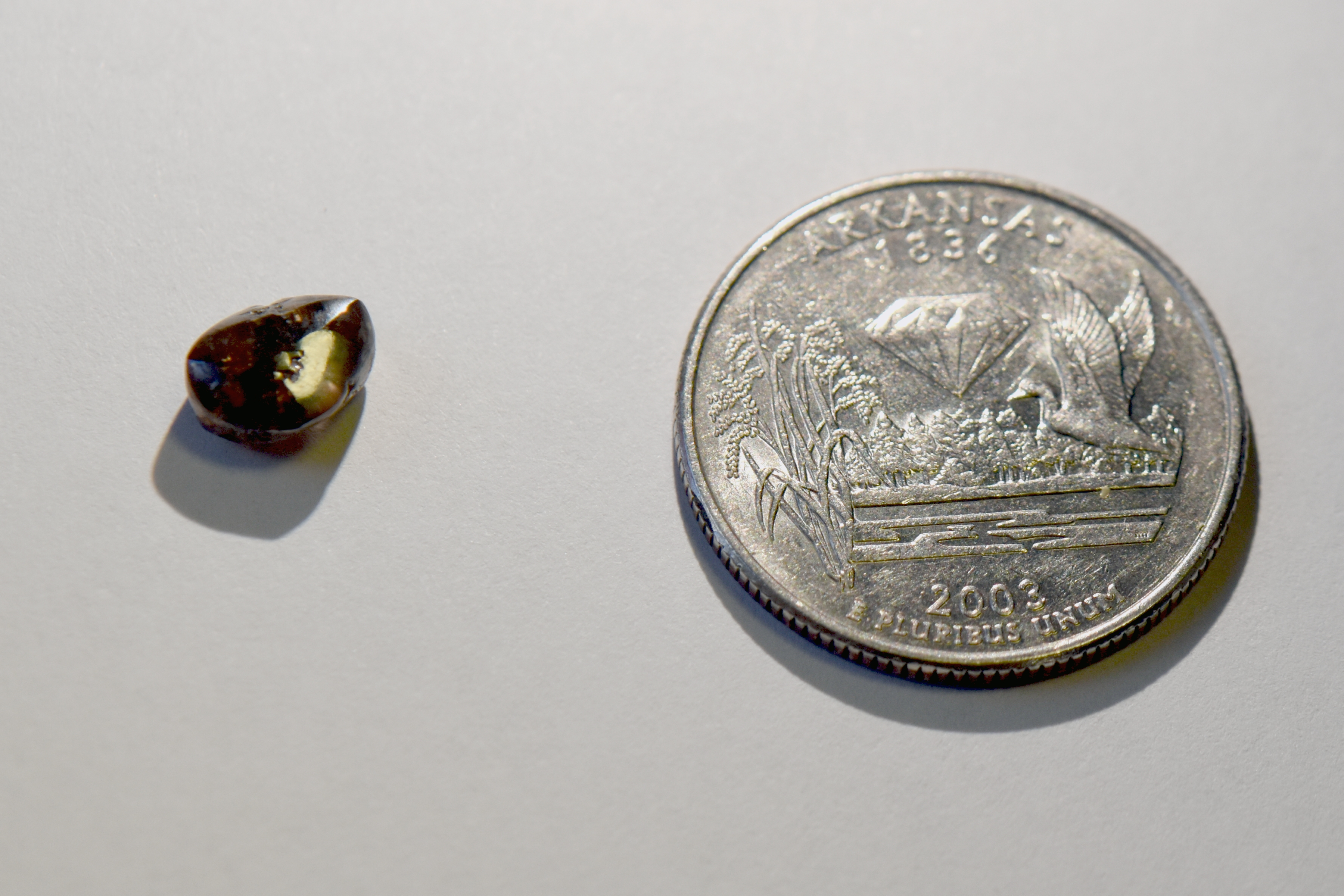 Josh Lanik's diamond he found at Crater of Diamonds State Park next to a quarter to show size comparison