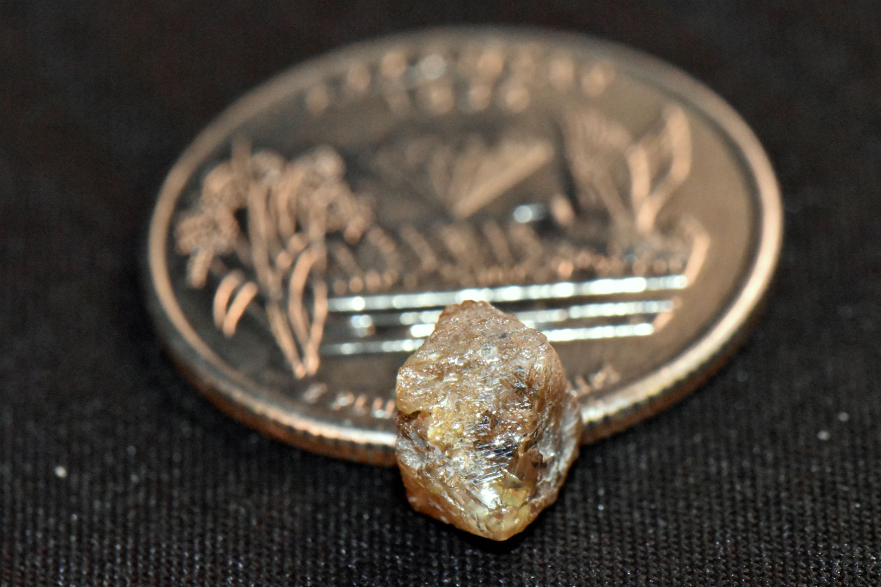 David Anderson's 3.29-carat brown diamond next to a quarter for scale to show size