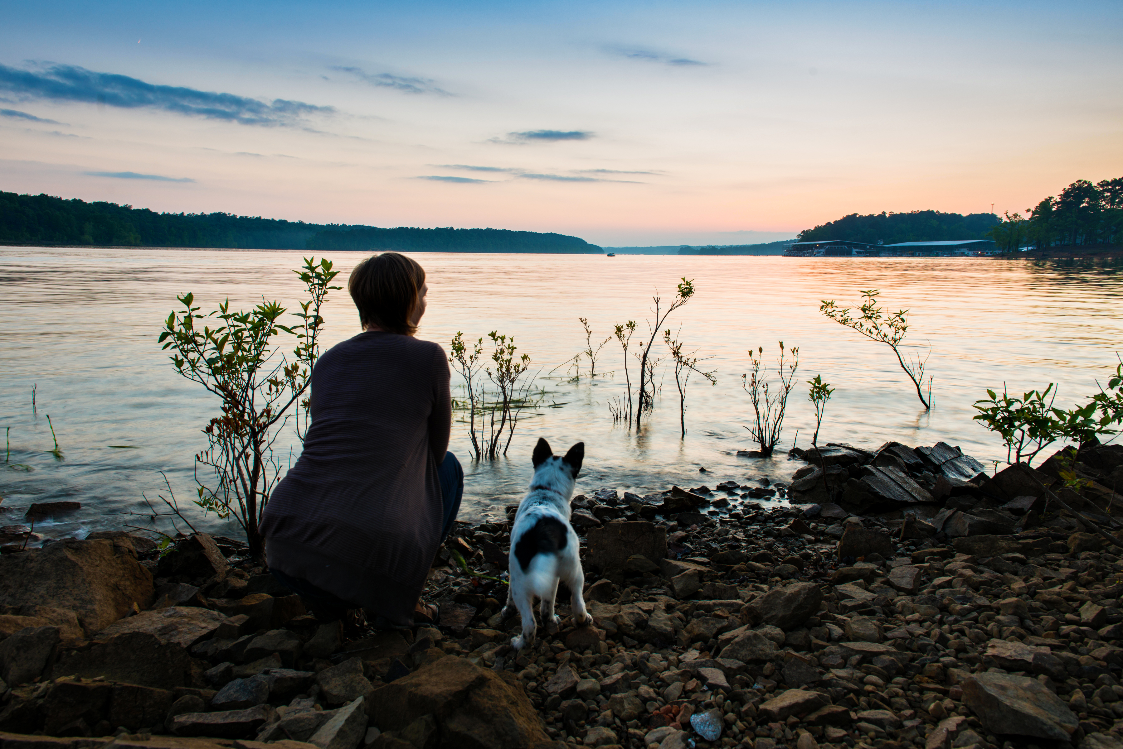 Person with their dog overlooking the lake at Daisy State Park at dusk