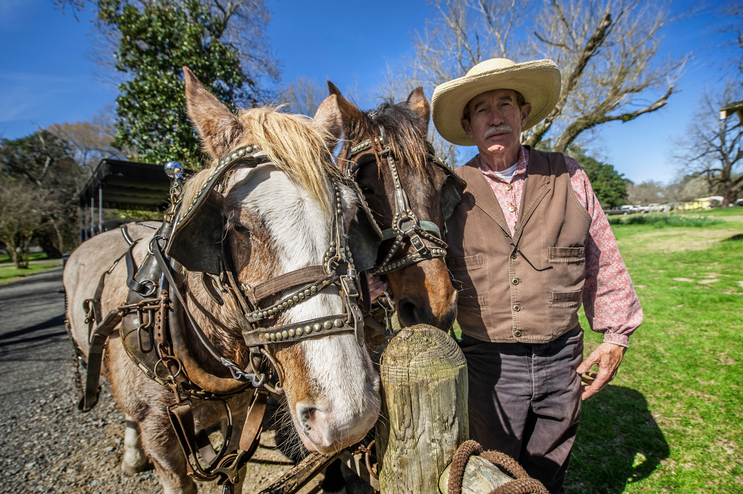 A cowboy with two horses staring at the camera