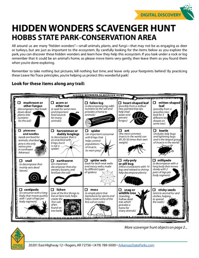 Snapshot of Hidden Wonders Scavenger Hunt PDF