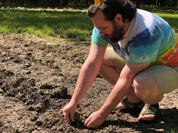 Volunteer crouching to plant seedling in ground