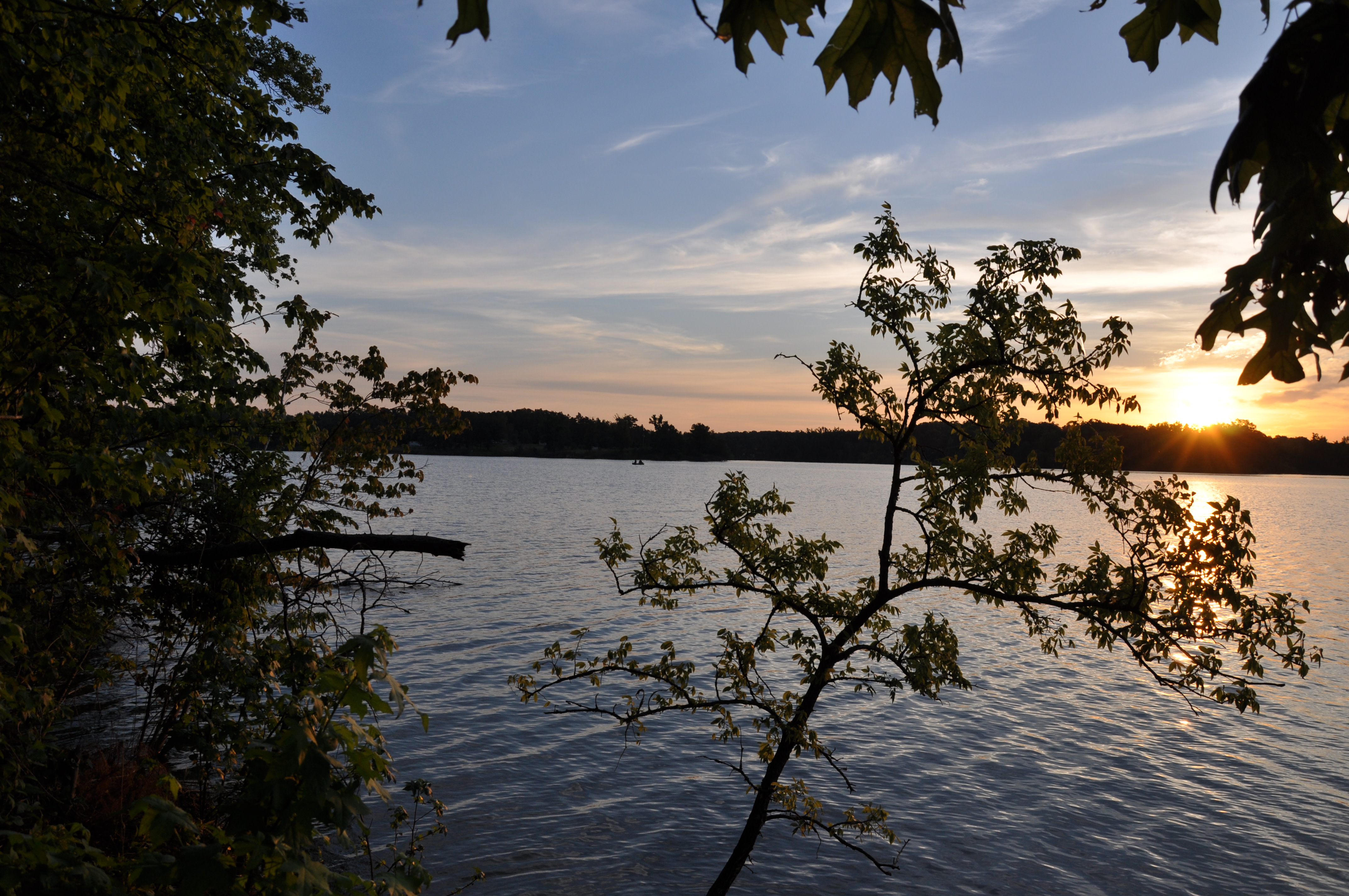 Sun setting over Lake Poinsett between the trees