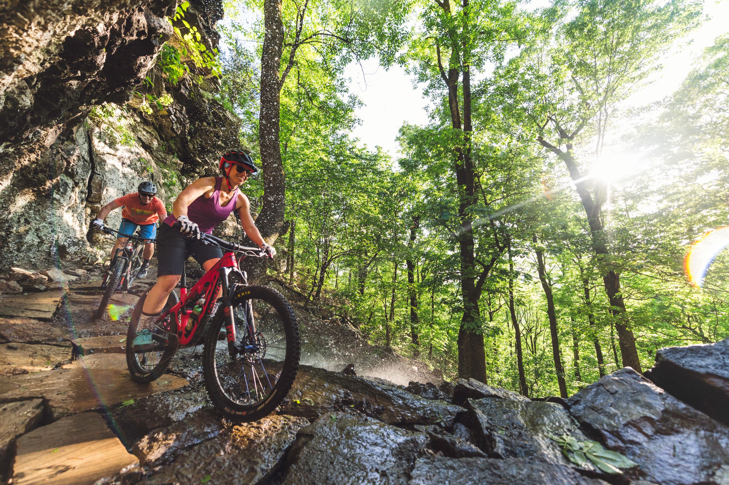 Two people mountain biking at Mount Nebo State Park in the forest during spring