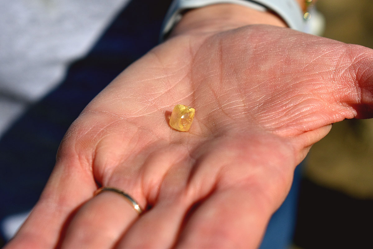 Noreen Wredberg's yellow diamond sitting next to the ID card with state parks logo