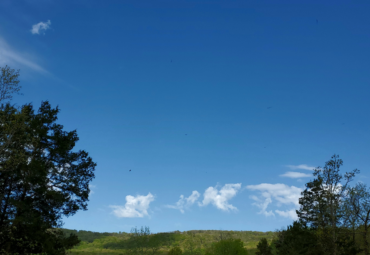 blue open skies