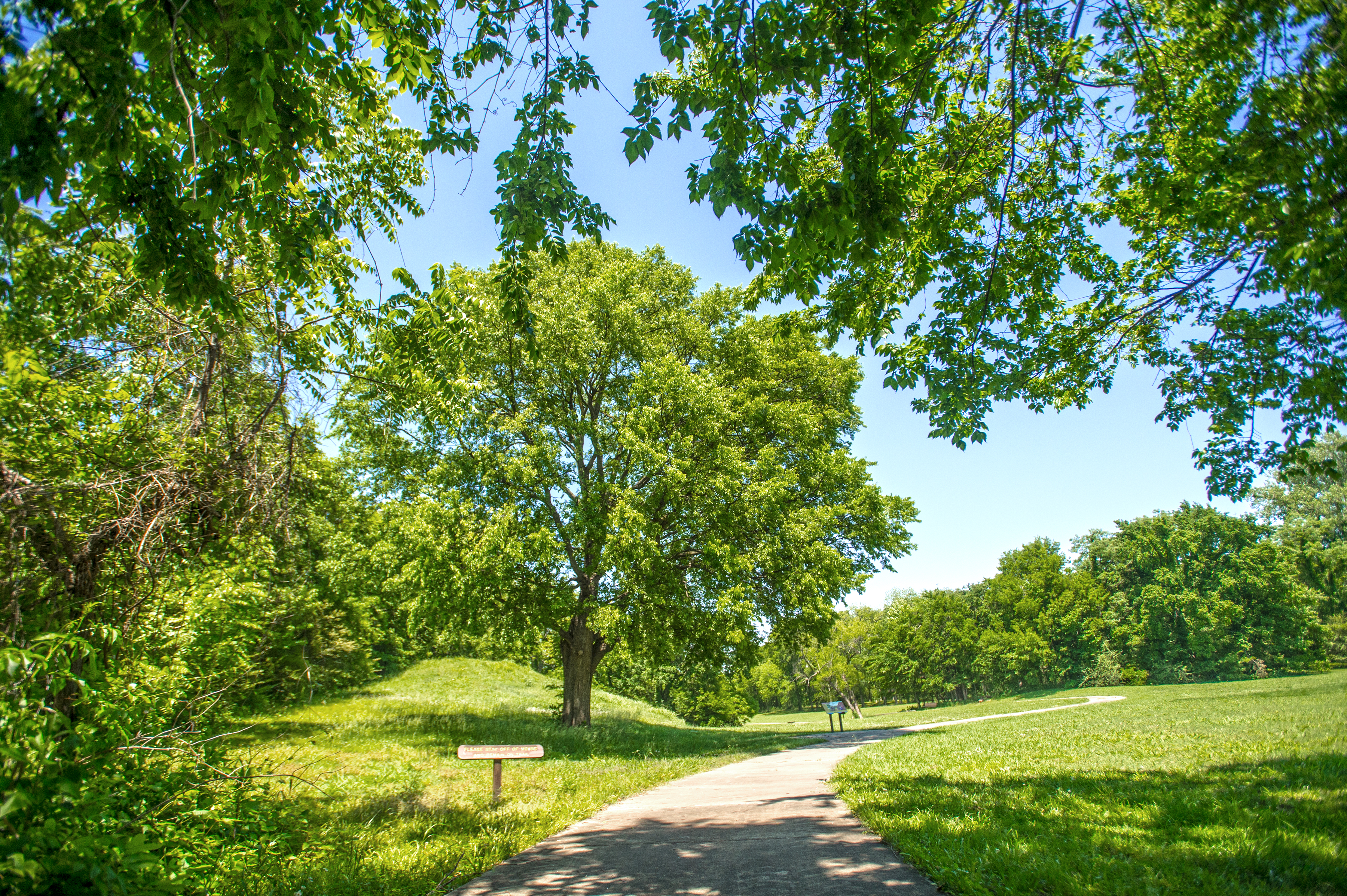 Green grassy mound and trees at Parkin Archeological State Park