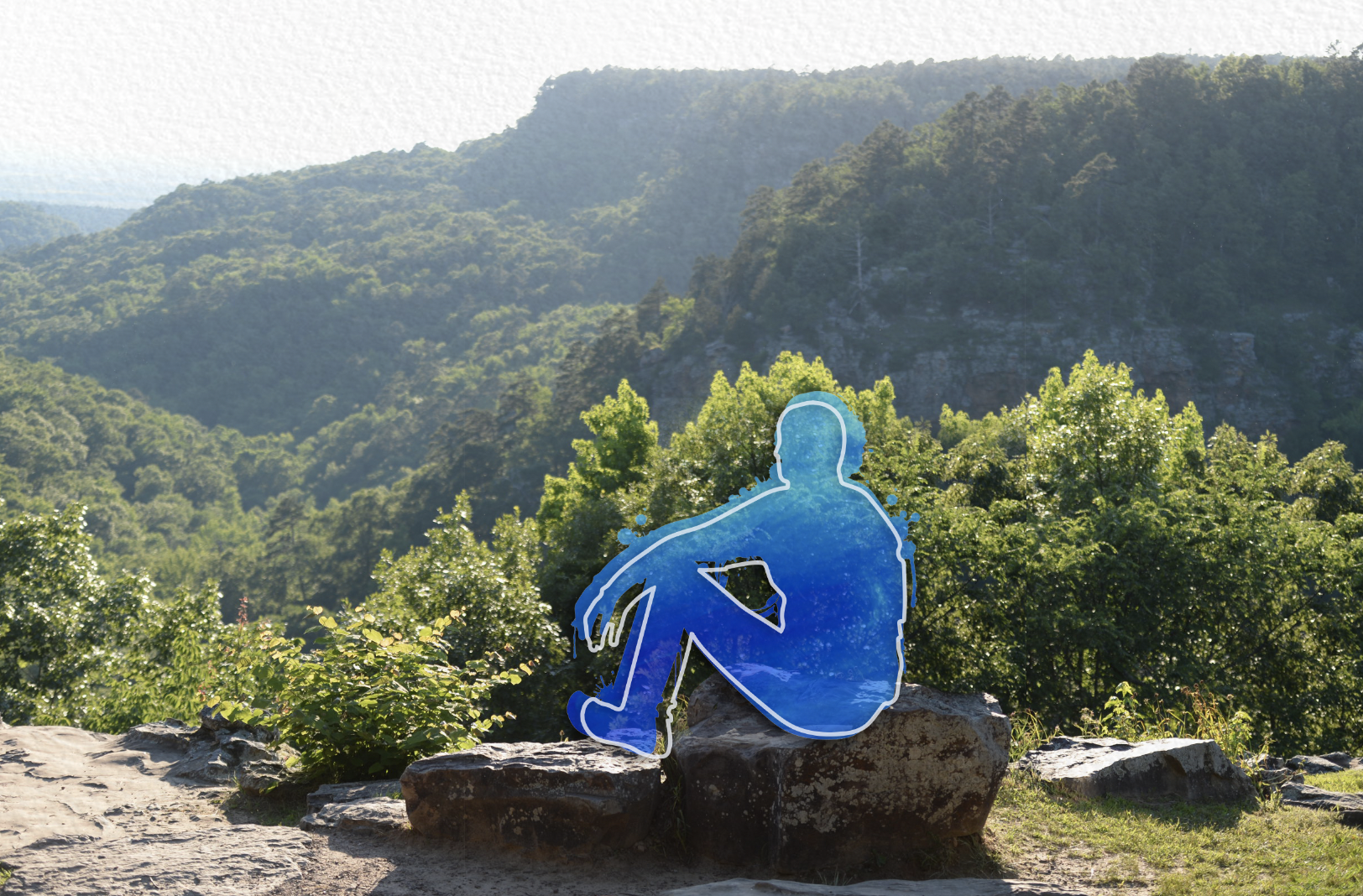 An individual sits on a bolder contemplating the view of a canyon full of trees.  