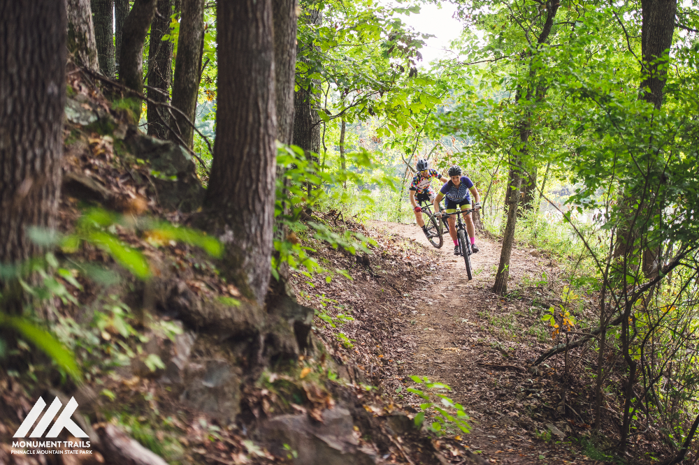 pinnacle mtb