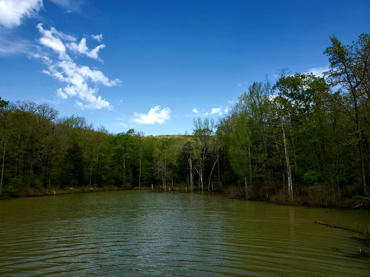 cove on lake