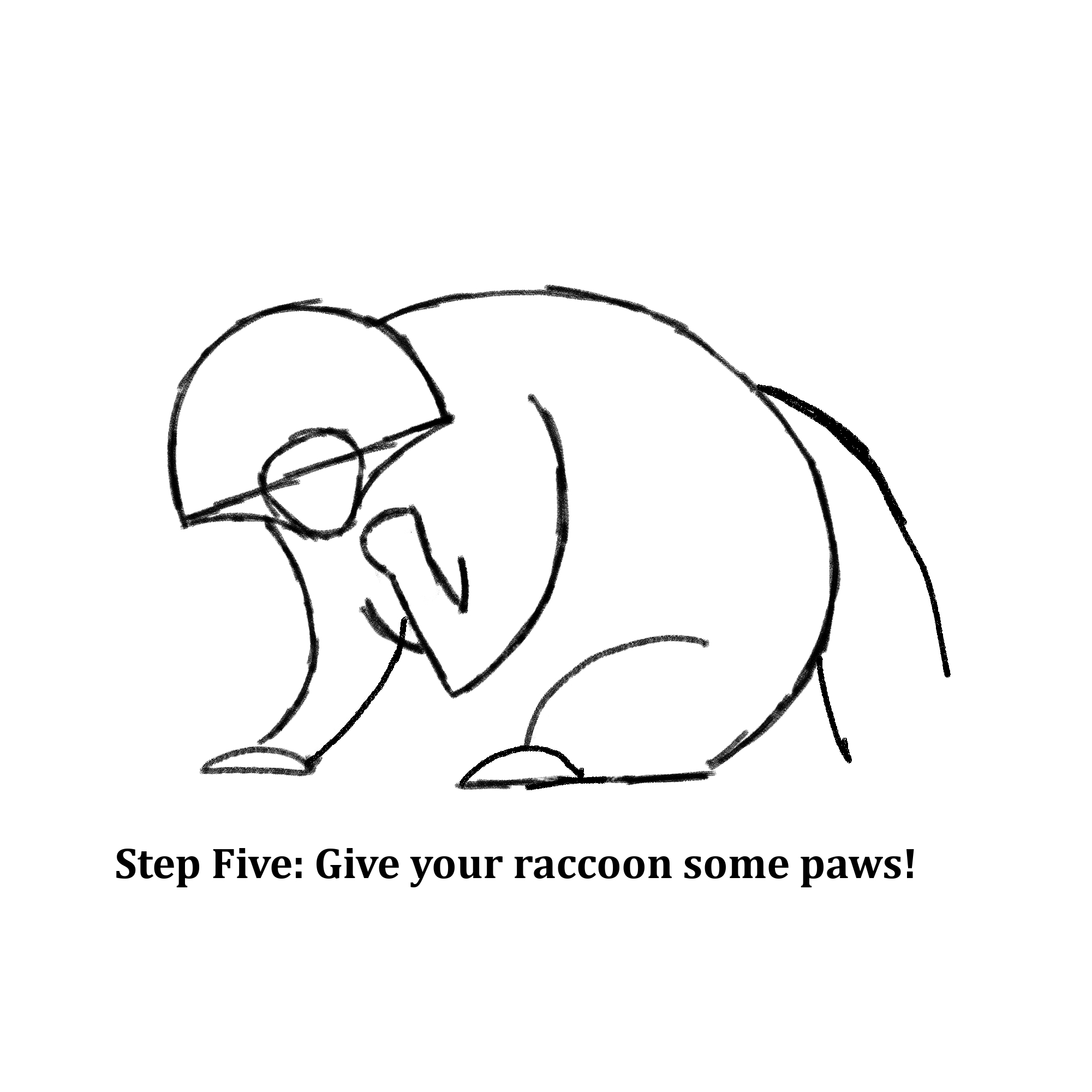 Drawn shapes with text instructions: “Step Five: Give your raccoon some paws!” 