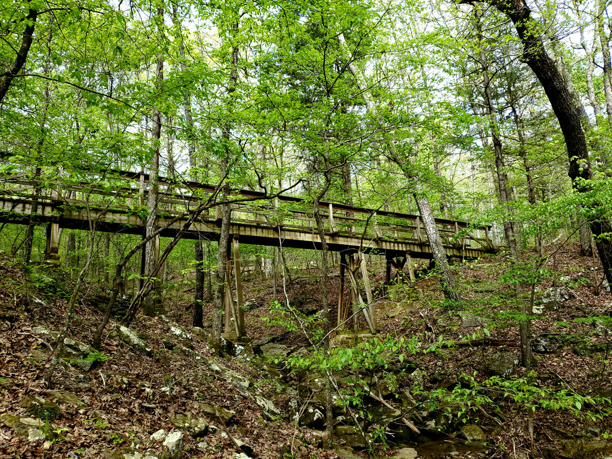 stream under bridge in forest