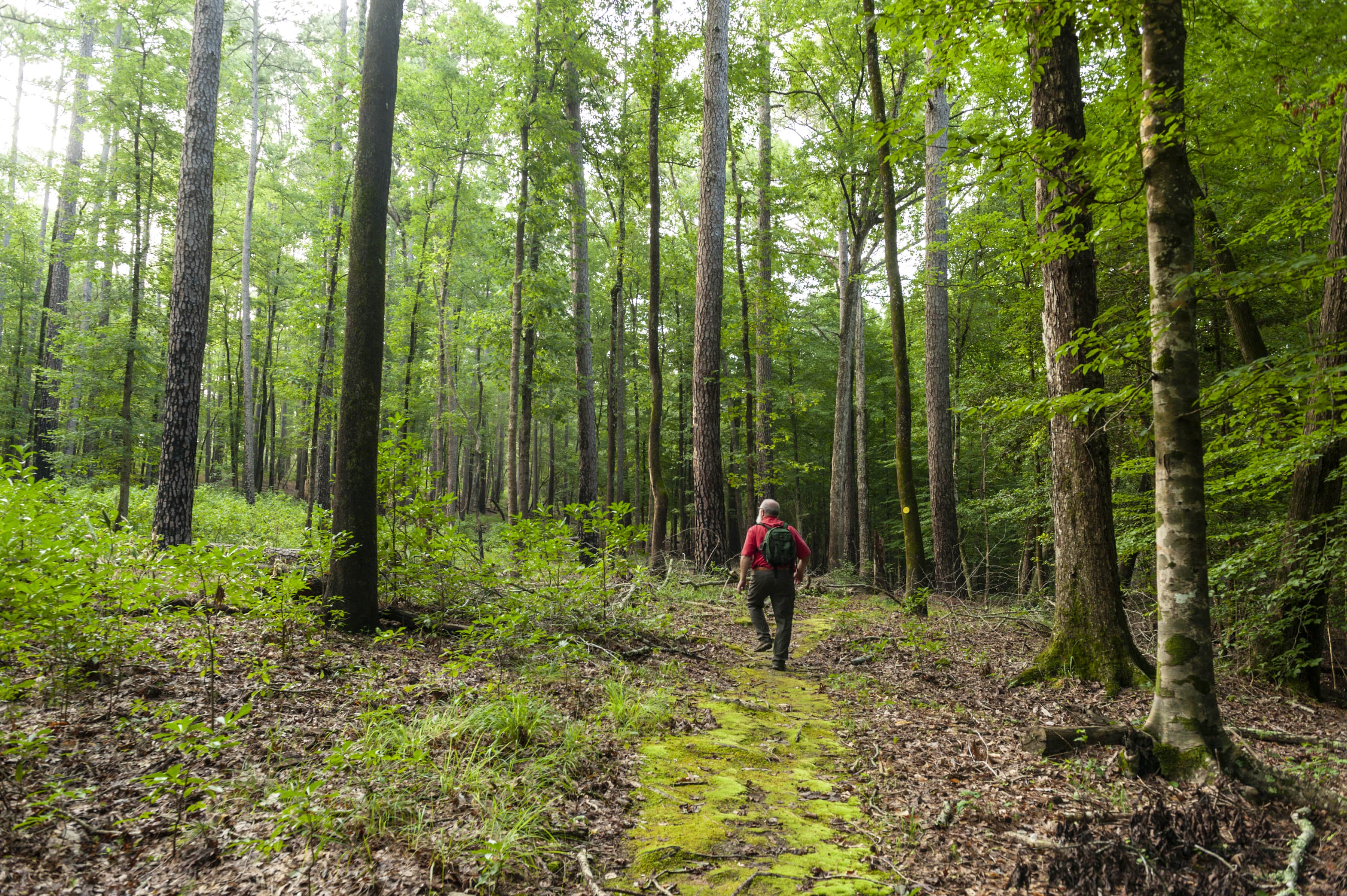 Hiking at White Oak Lake State Park