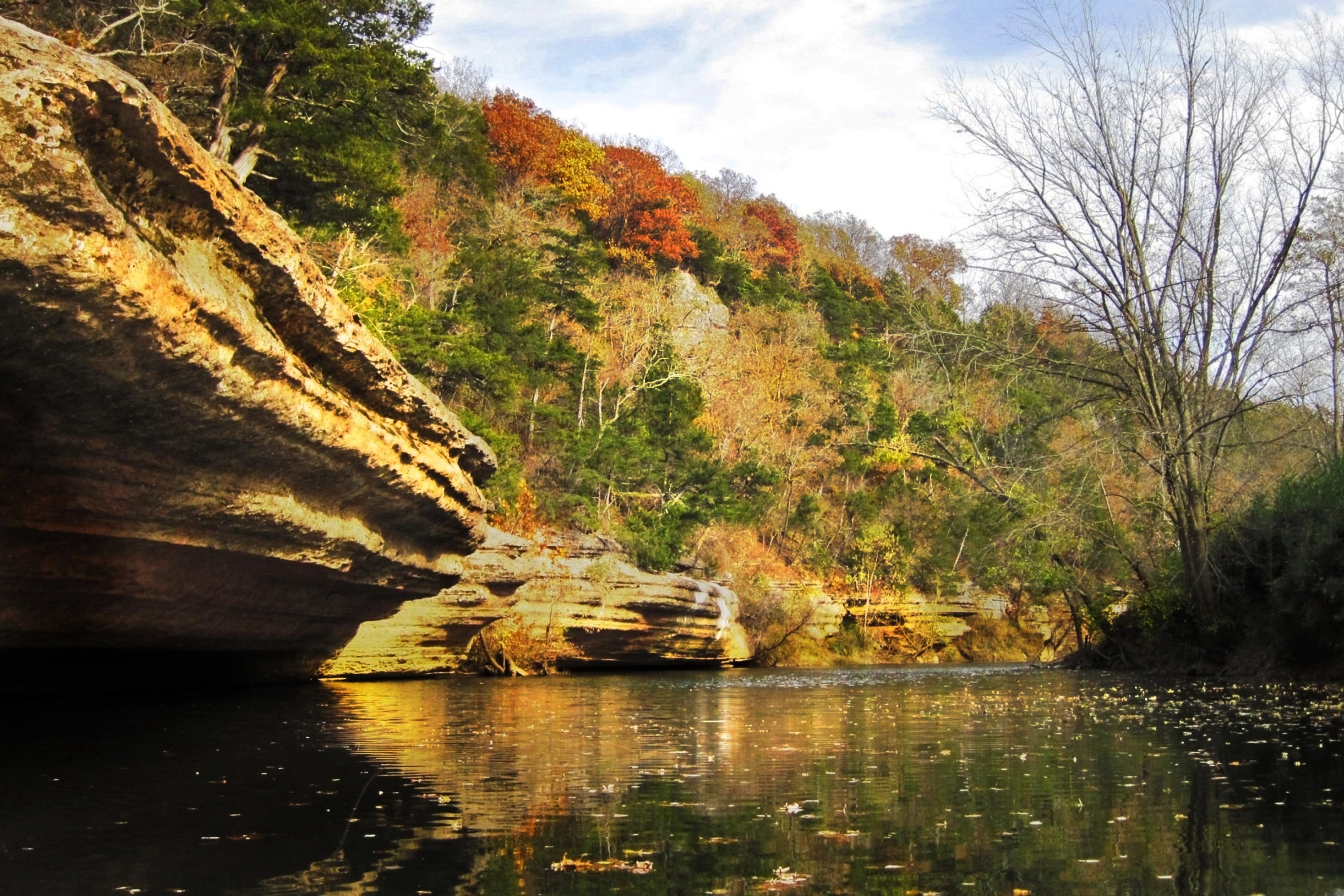 Arkansas natural landscape