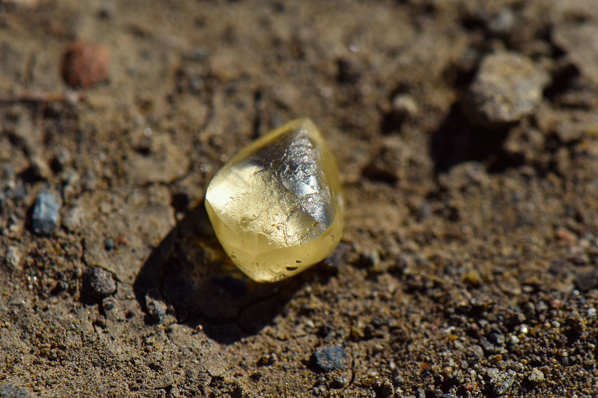 Noreen Wredberg's yellow diamond sitting on the dirt